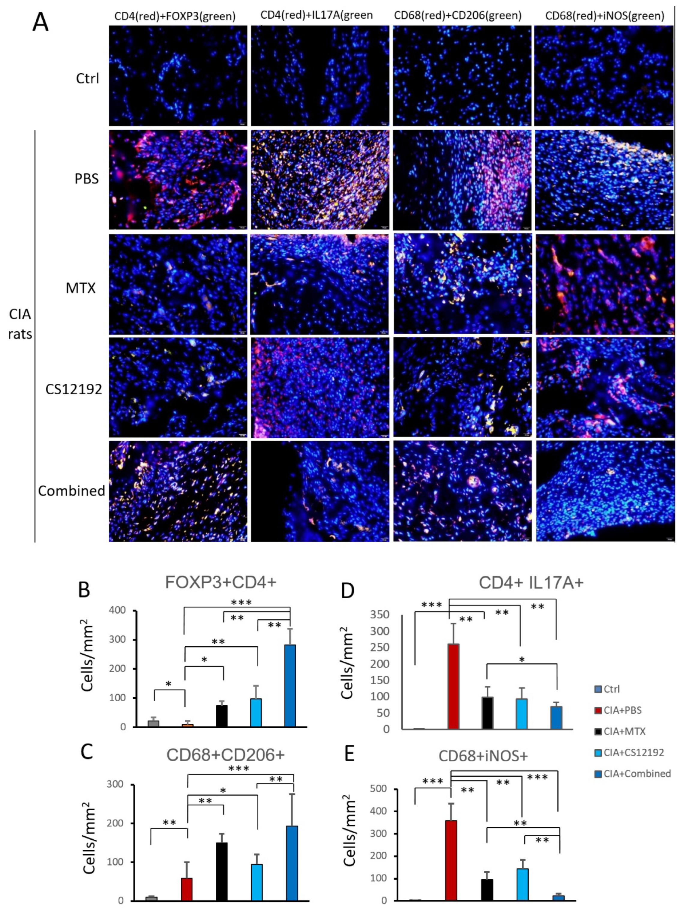 Ijms 23 13394 g004 Ijms 23 13394 g004