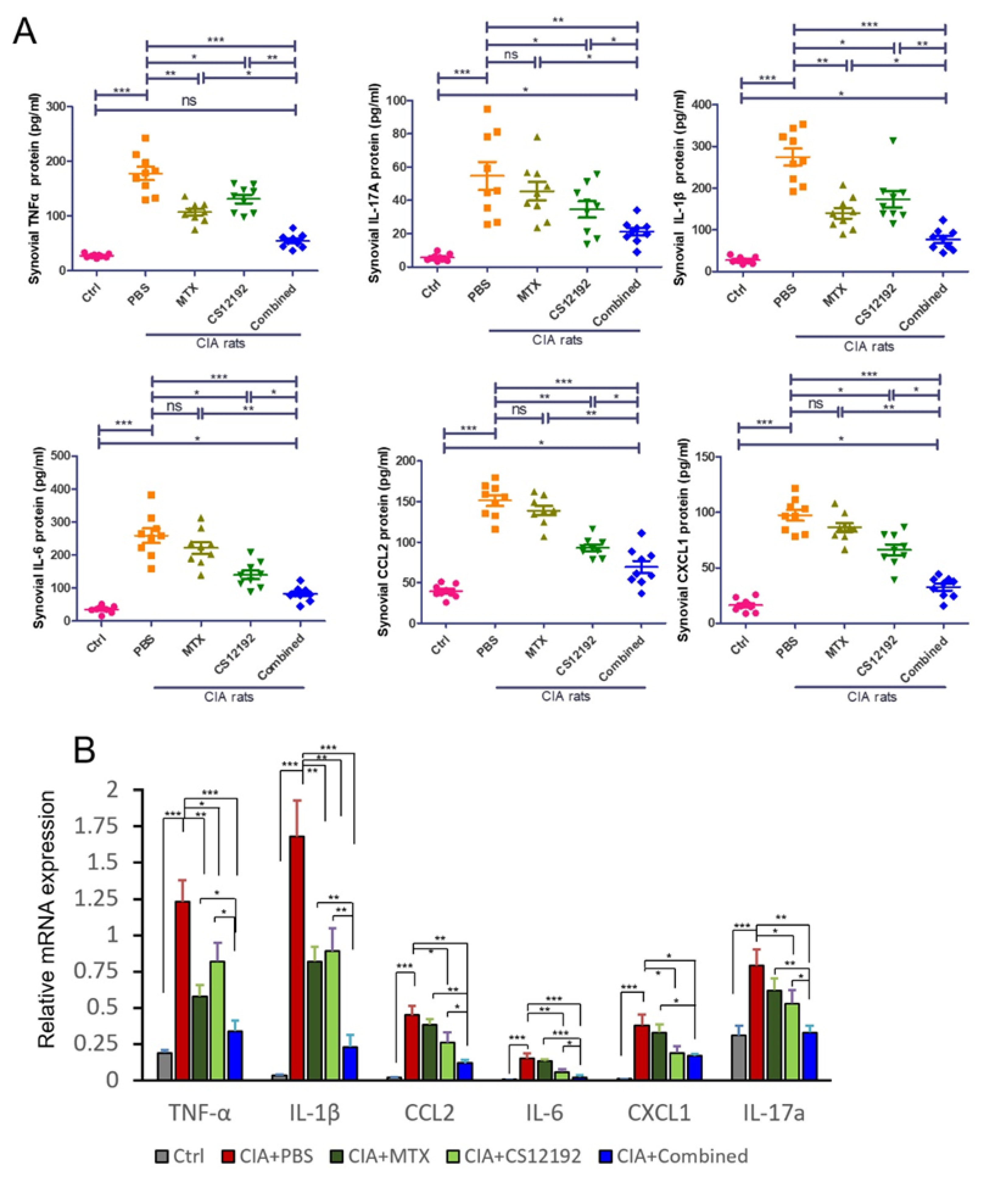 Ijms 23 13394 g005 Ijms 23 13394 g005