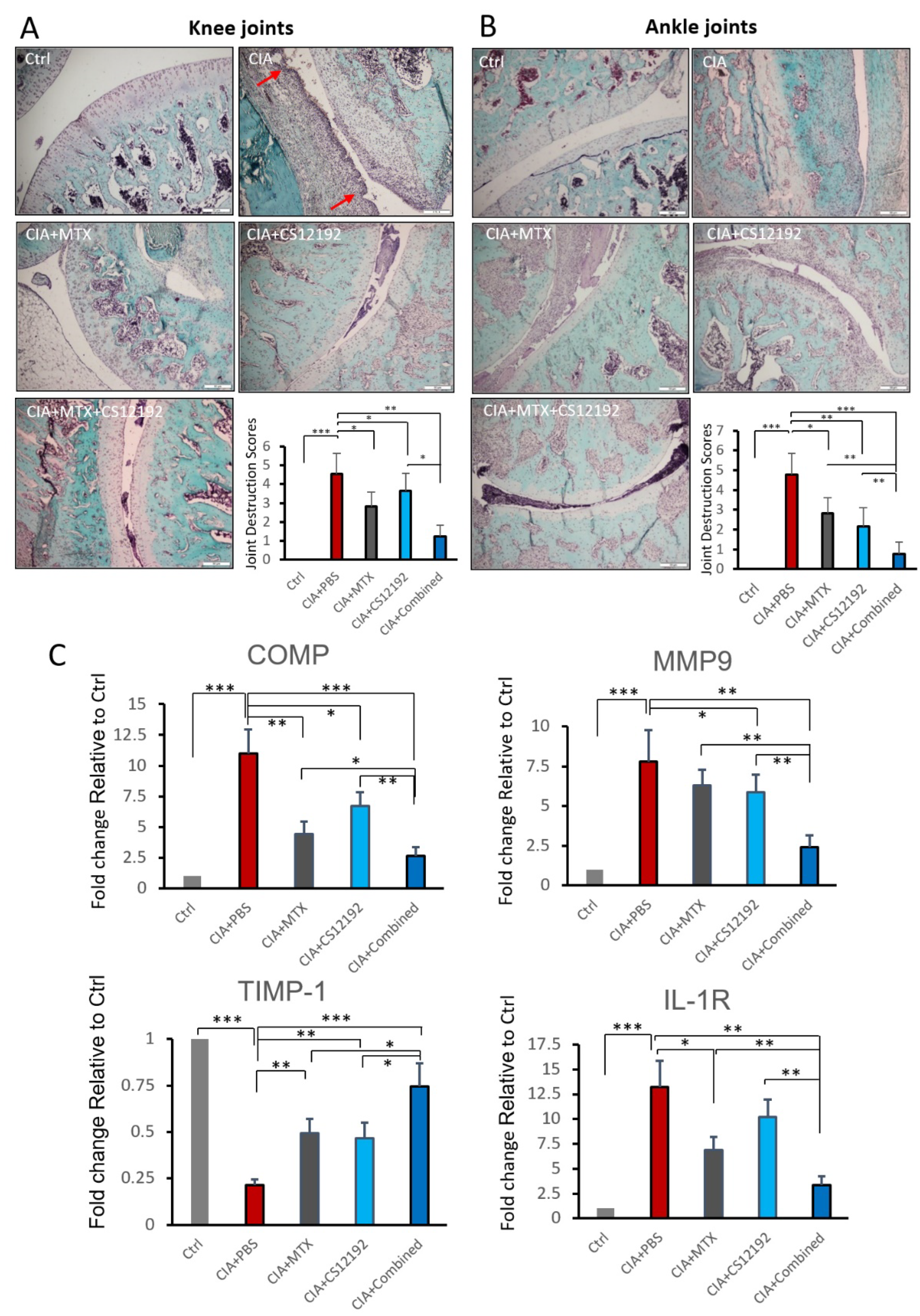 Ijms 23 13394 g006 Ijms 23 13394 g006