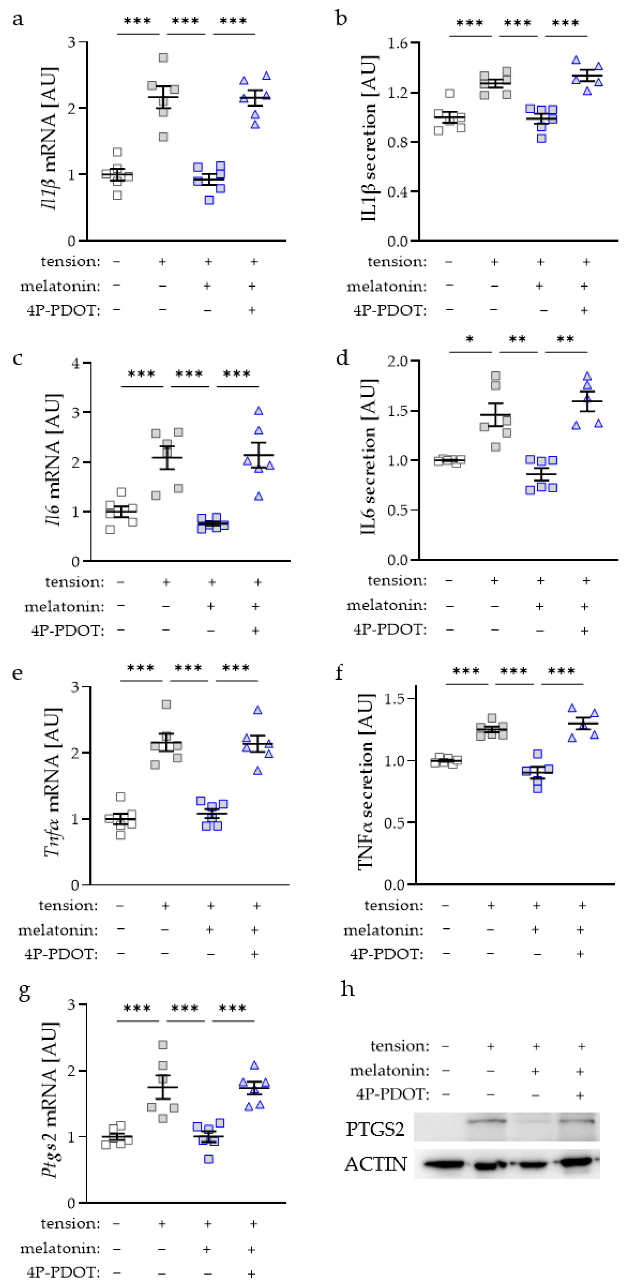 Ijms 23 13397 g002 Ijms 23 13397 g002