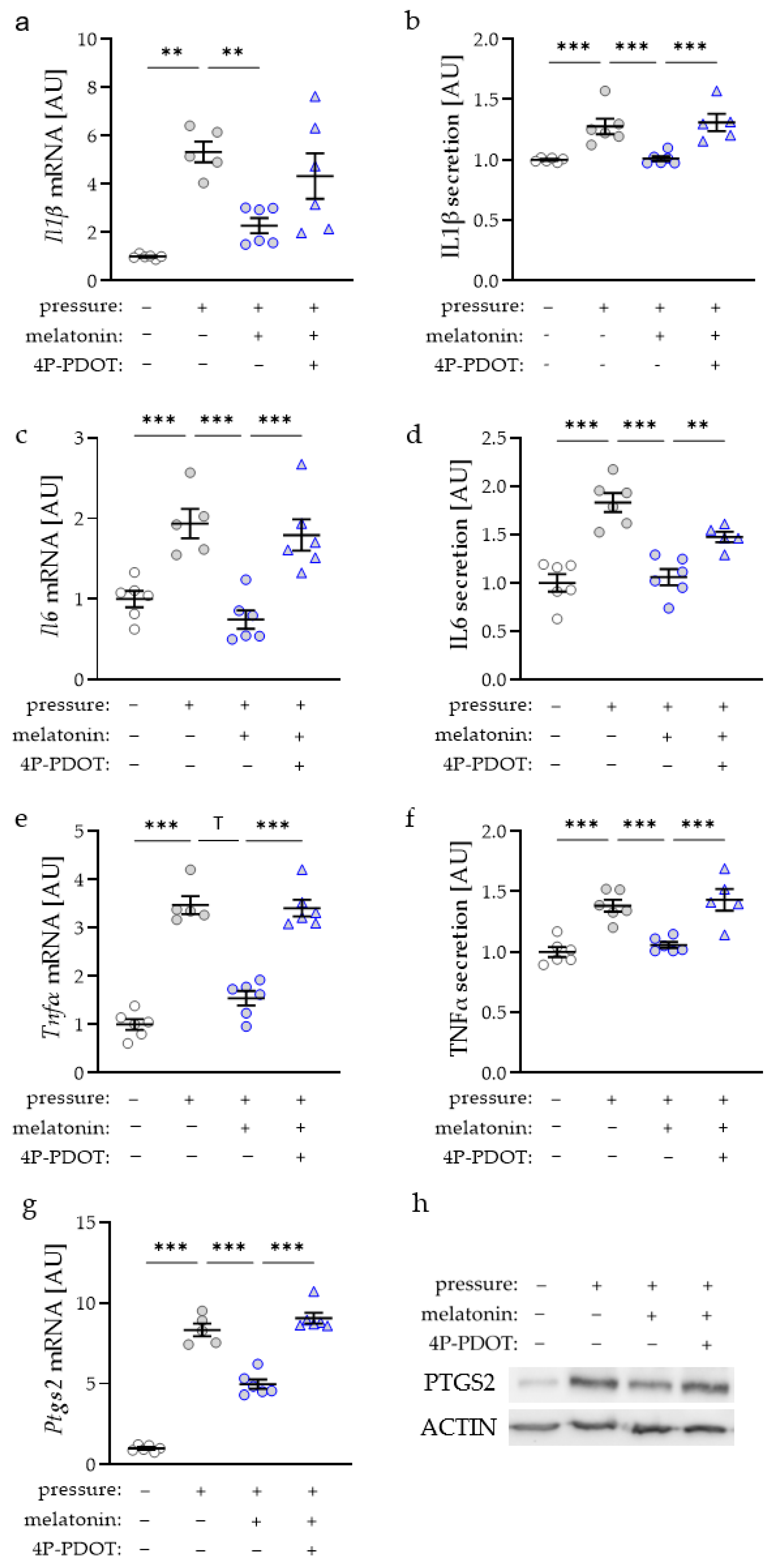 Ijms 23 13397 g003 Ijms 23 13397 g003