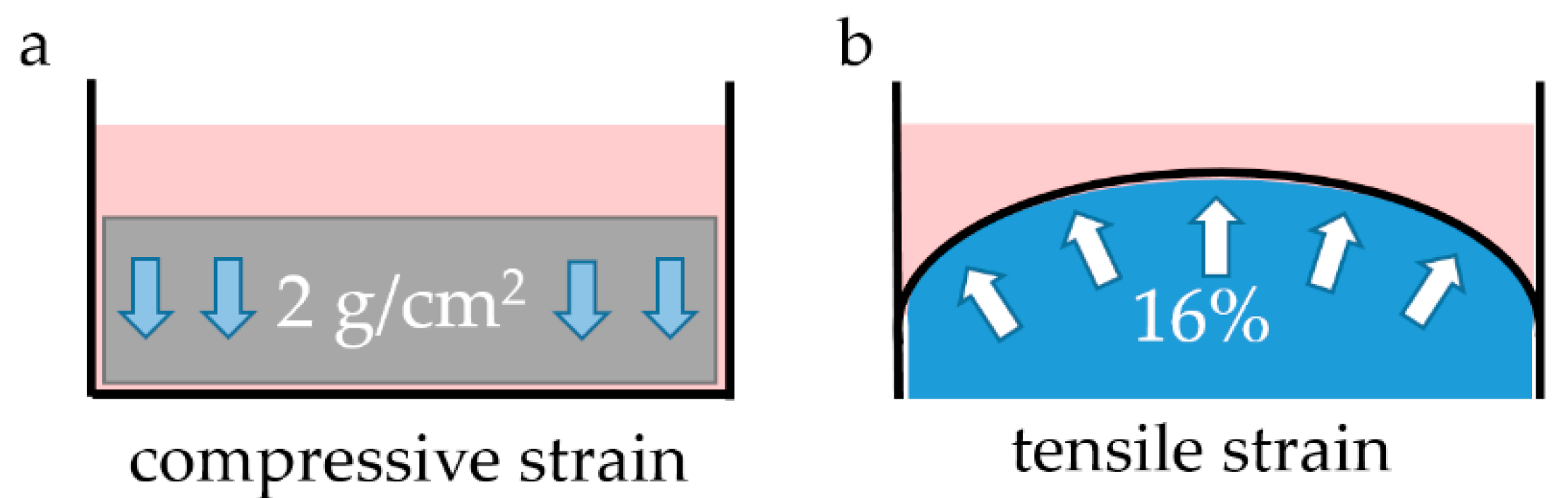 Ijms 23 13397 g004 Ijms 23 13397 g004