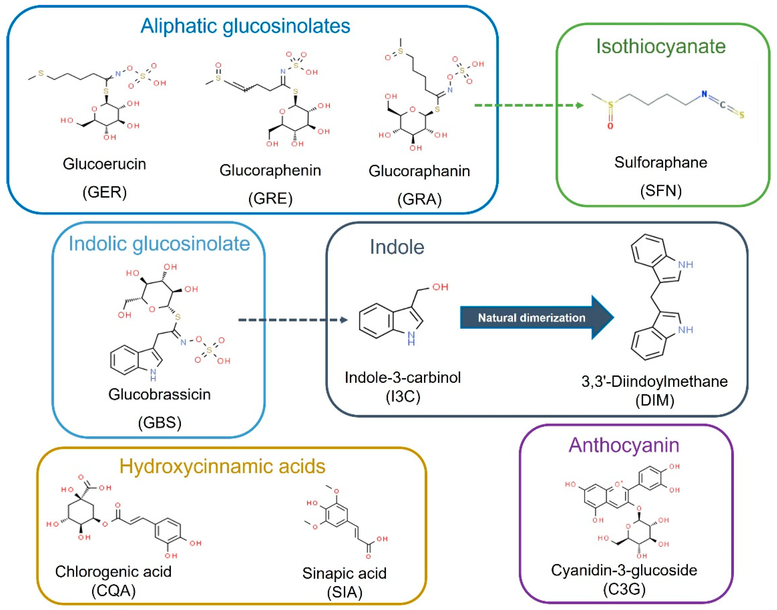 Ijms 23 13400 g001 Ijms 23 13400 g001