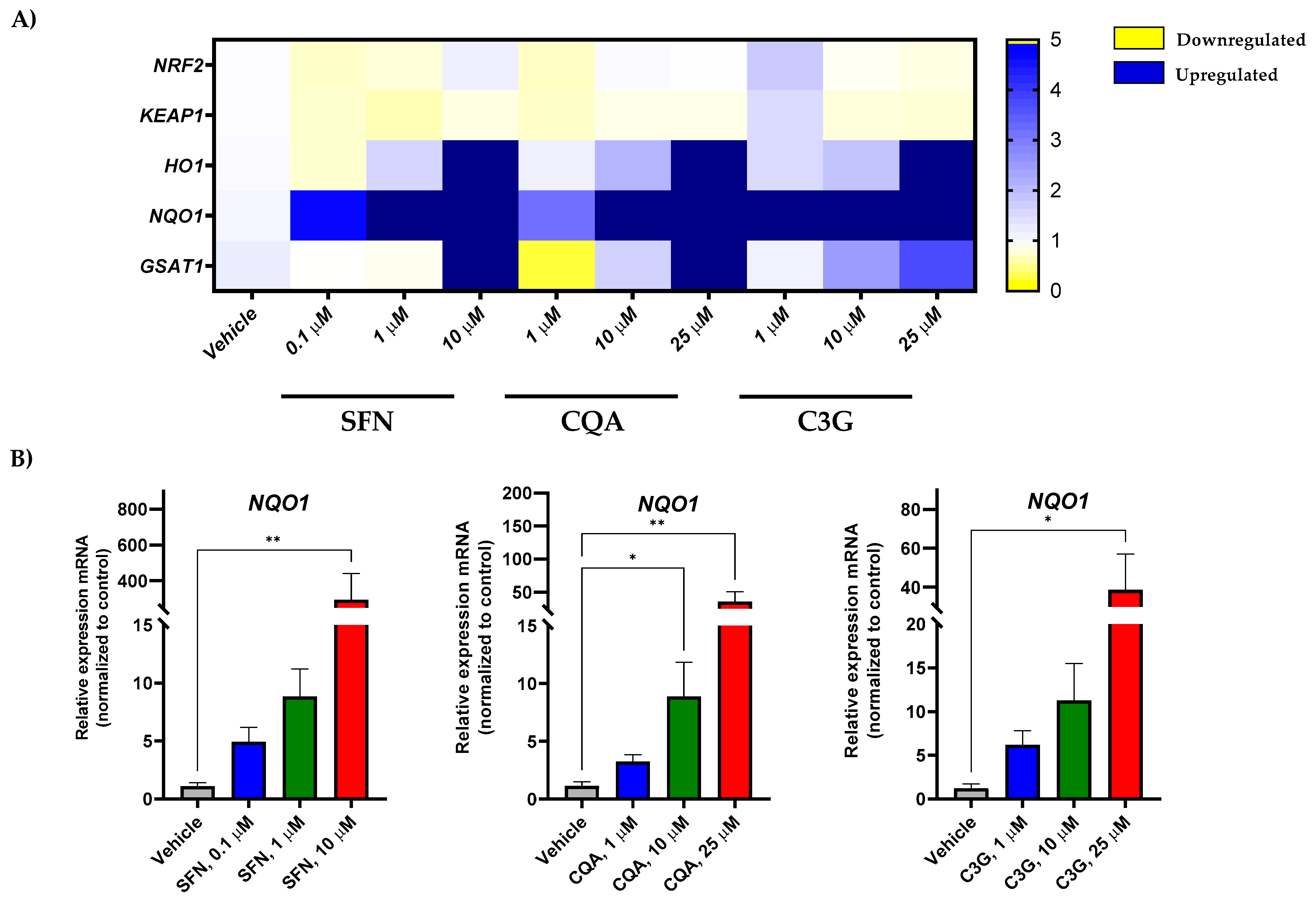 Ijms 23 13400 g003 Ijms 23 13400 g003