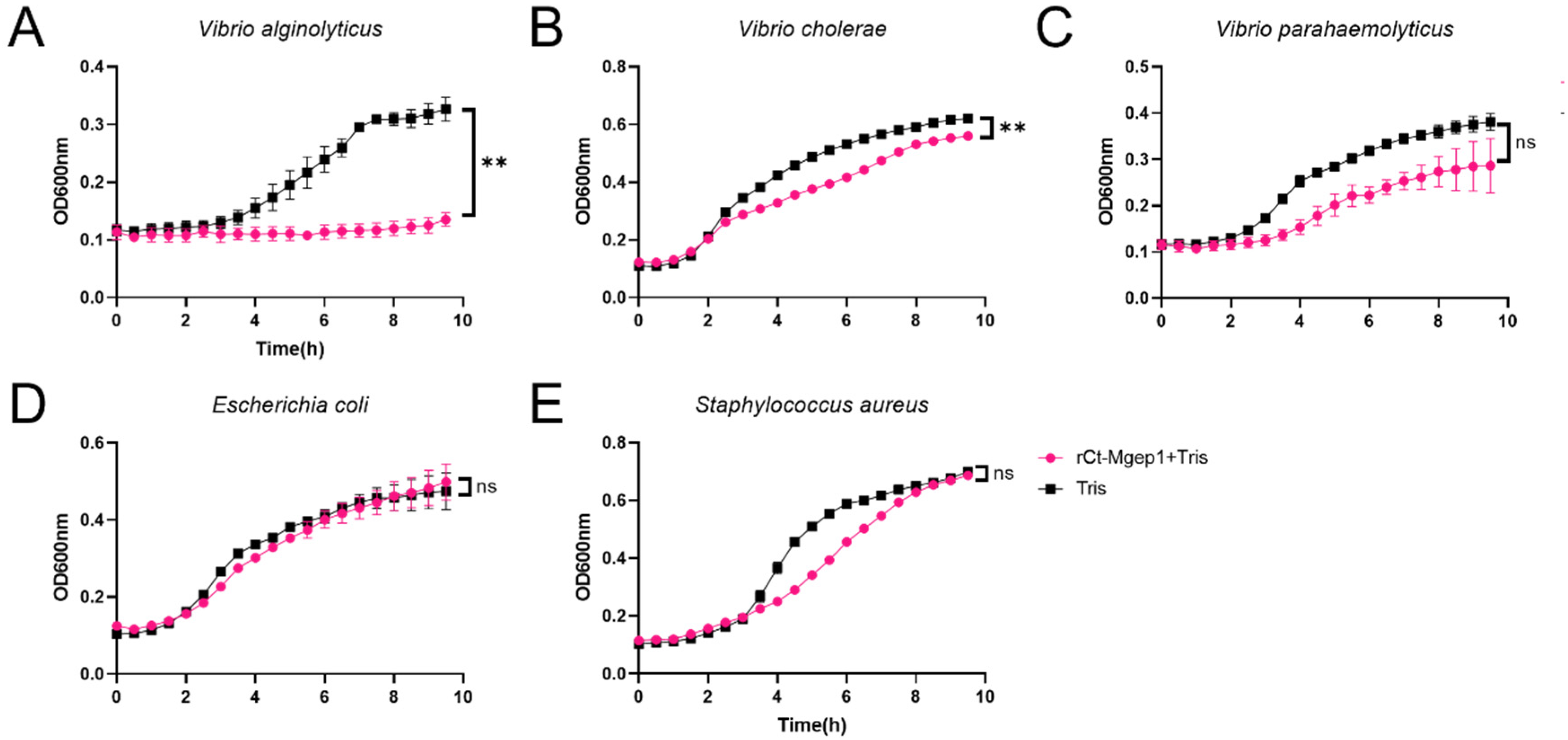 Ijms 23 13415 g005 Ijms 23 13415 g005
