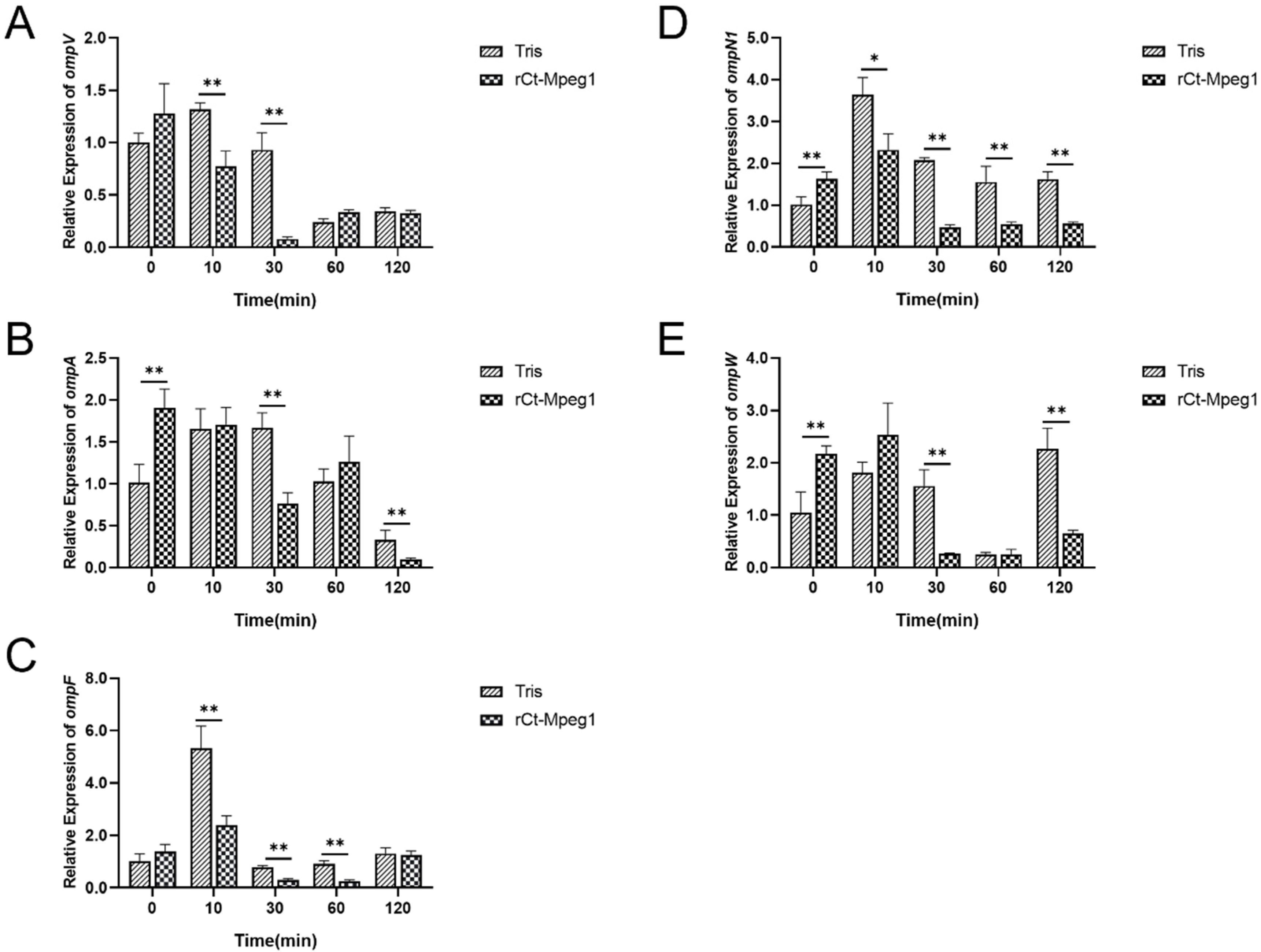 Ijms 23 13415 g007 Ijms 23 13415 g007