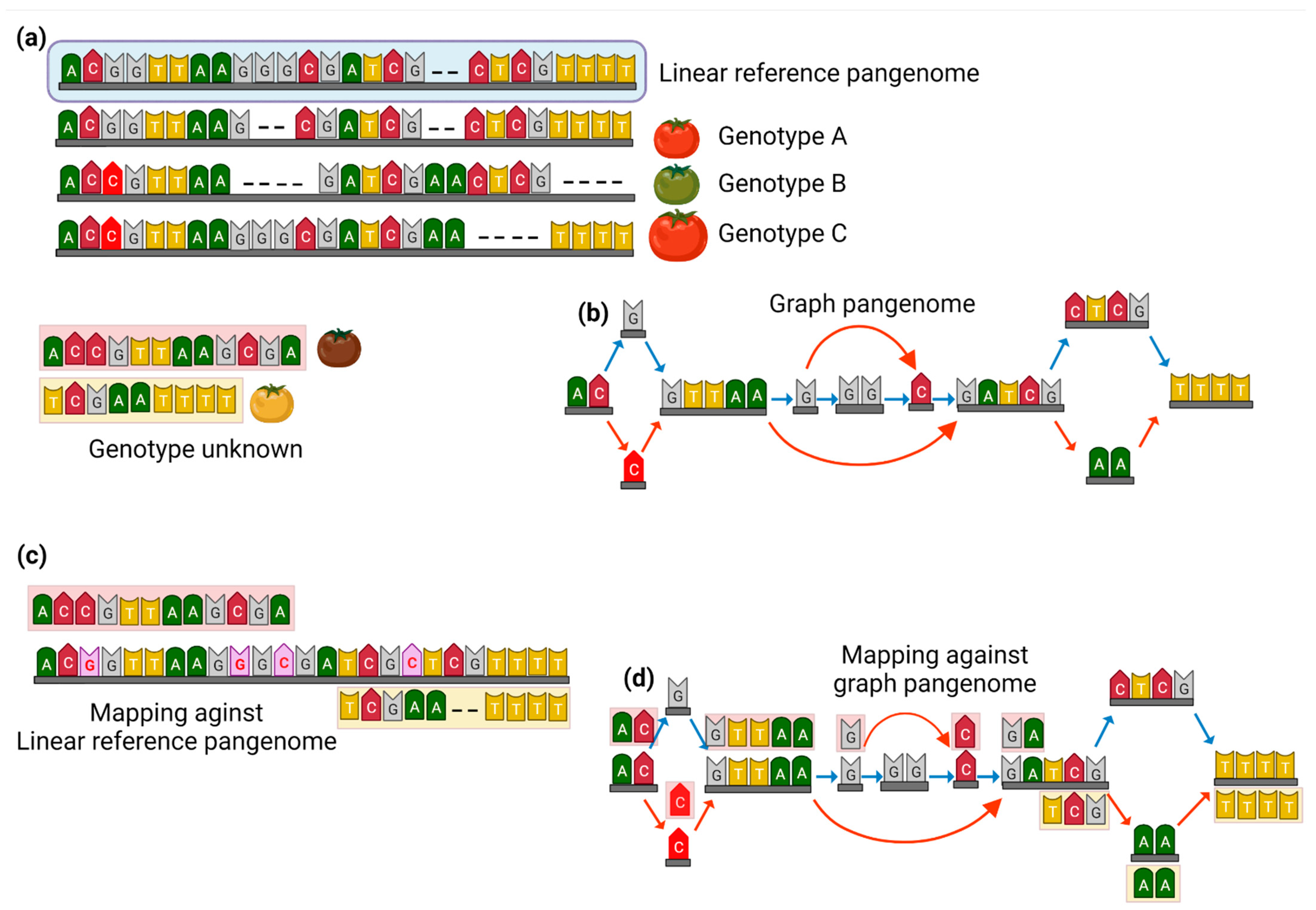 Ijms 23 13420 g001 Ijms 23 13420 g001