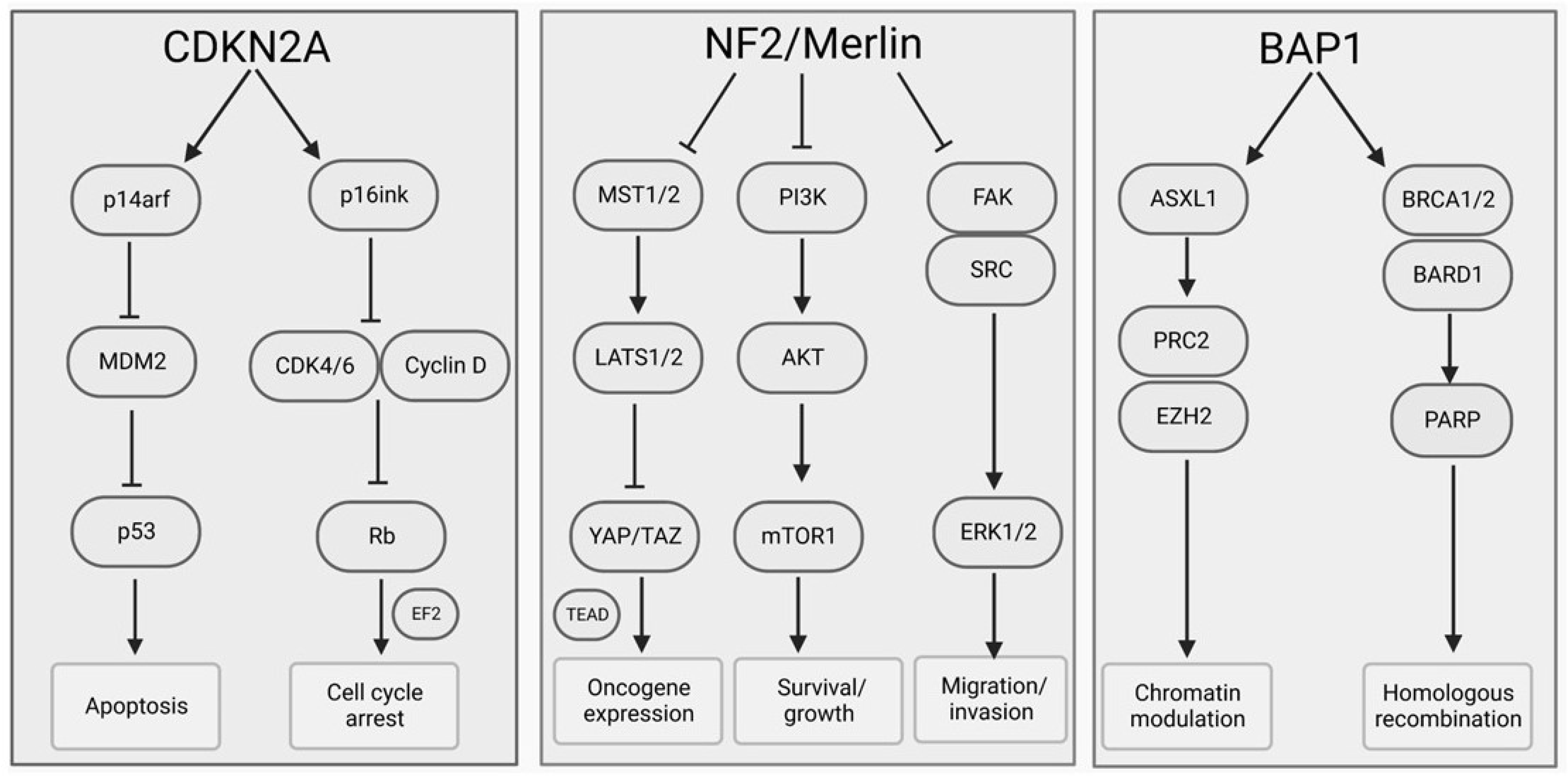 Ijms 23 13422 g001 Ijms 23 13422 g001