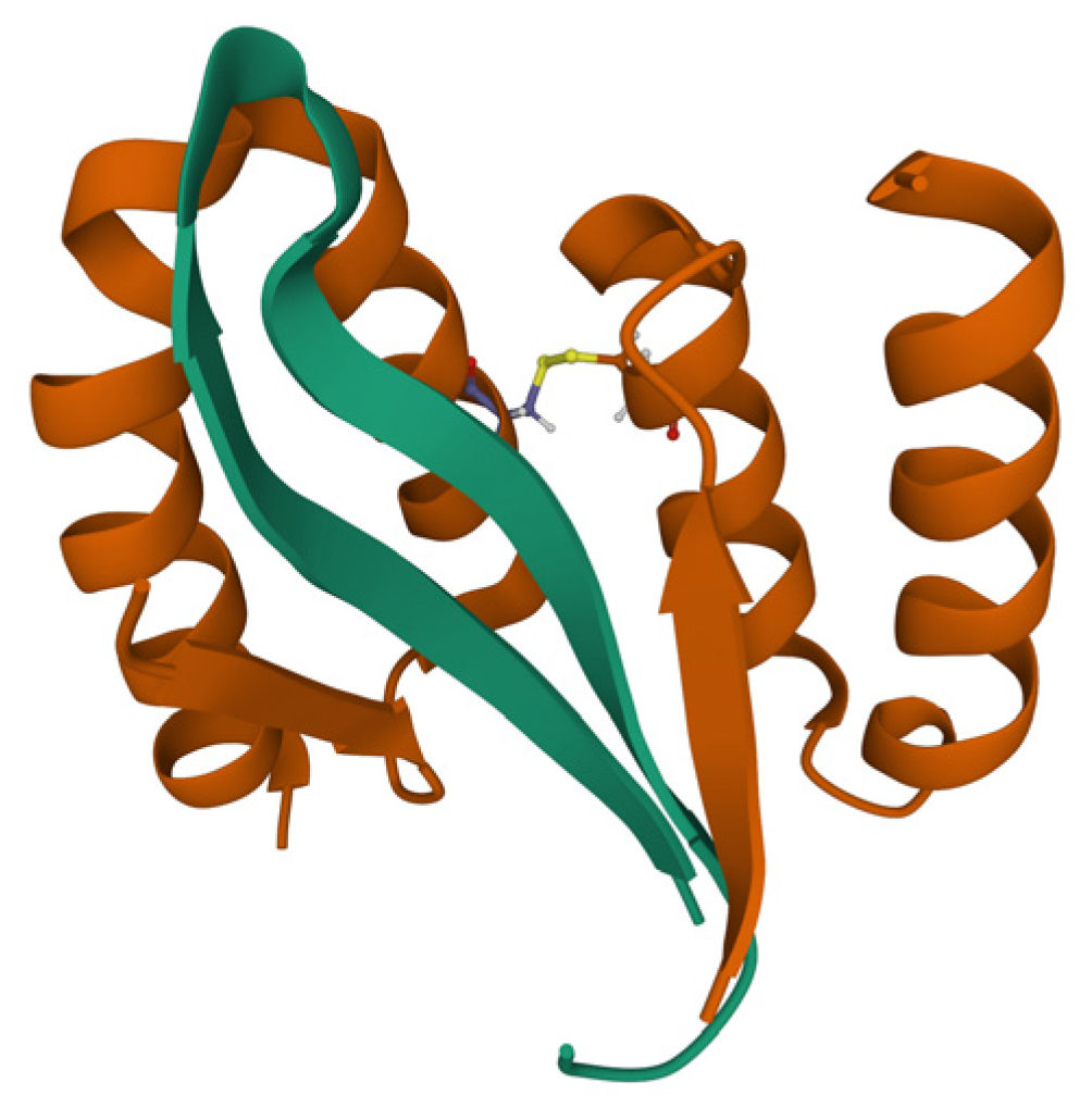 Ijms 23 13428 g008 Ijms 23 13428 g008