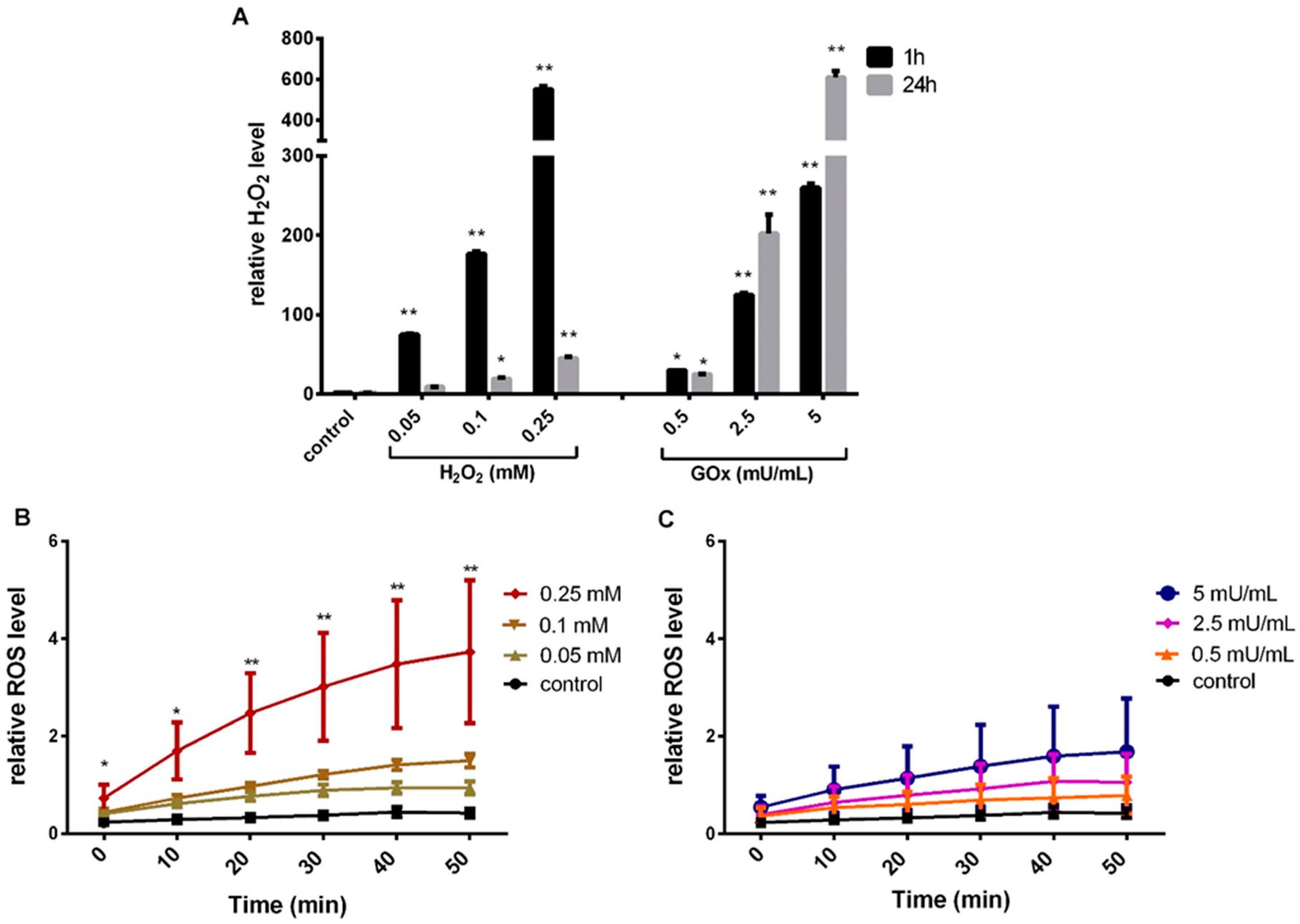 Ijms 23 13435 g001 Ijms 23 13435 g001