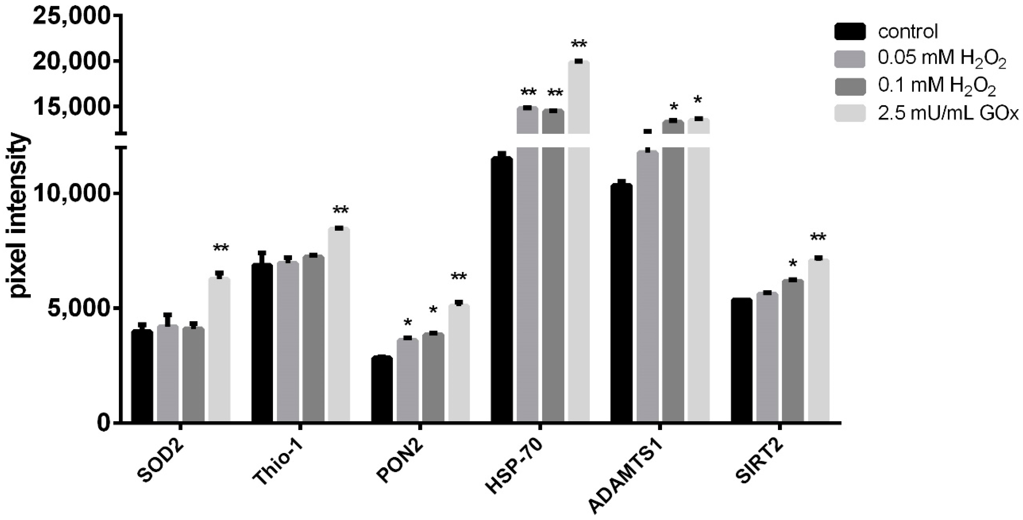 Ijms 23 13435 g003 Ijms 23 13435 g003