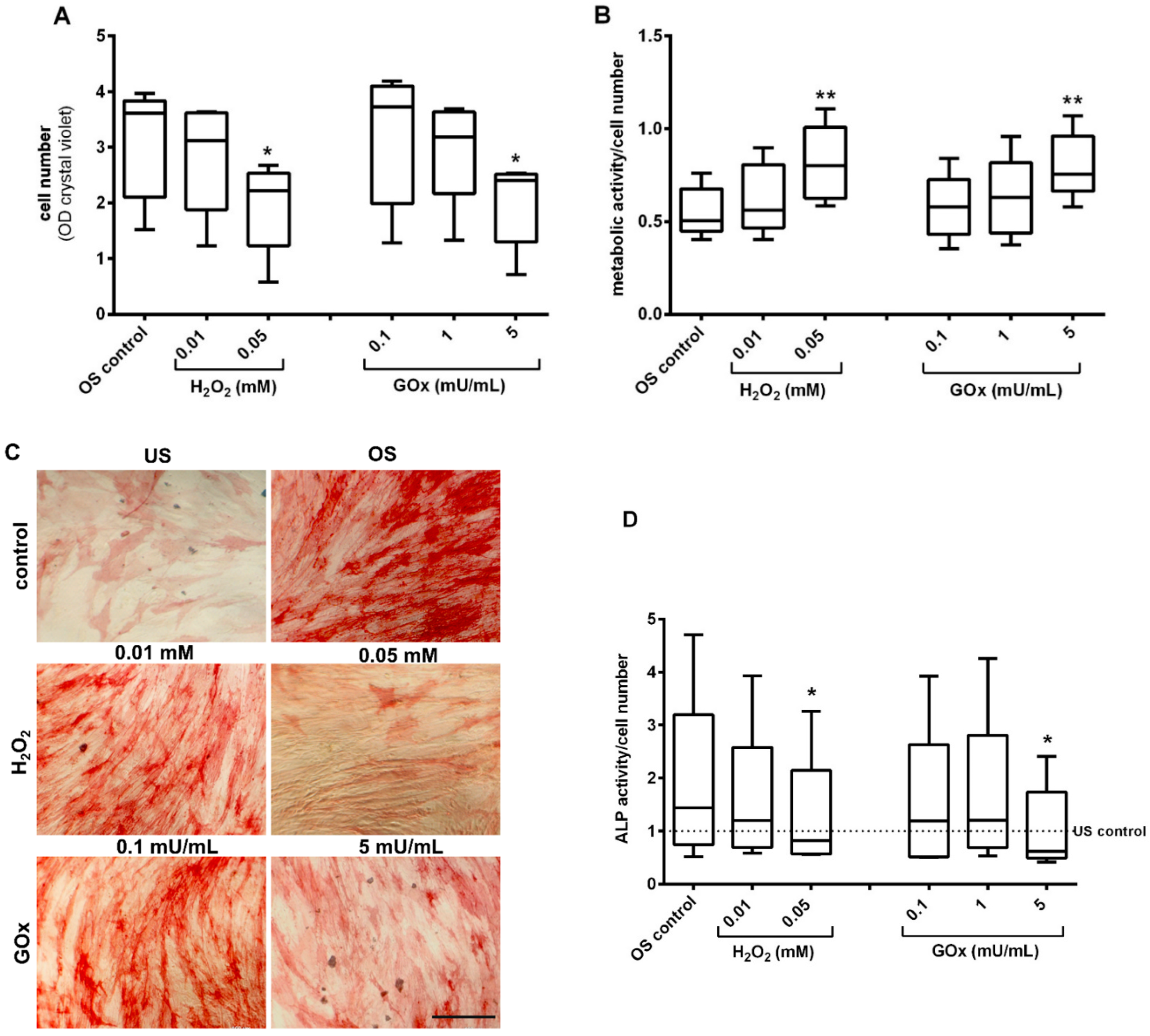 Ijms 23 13435 g007 Ijms 23 13435 g007
