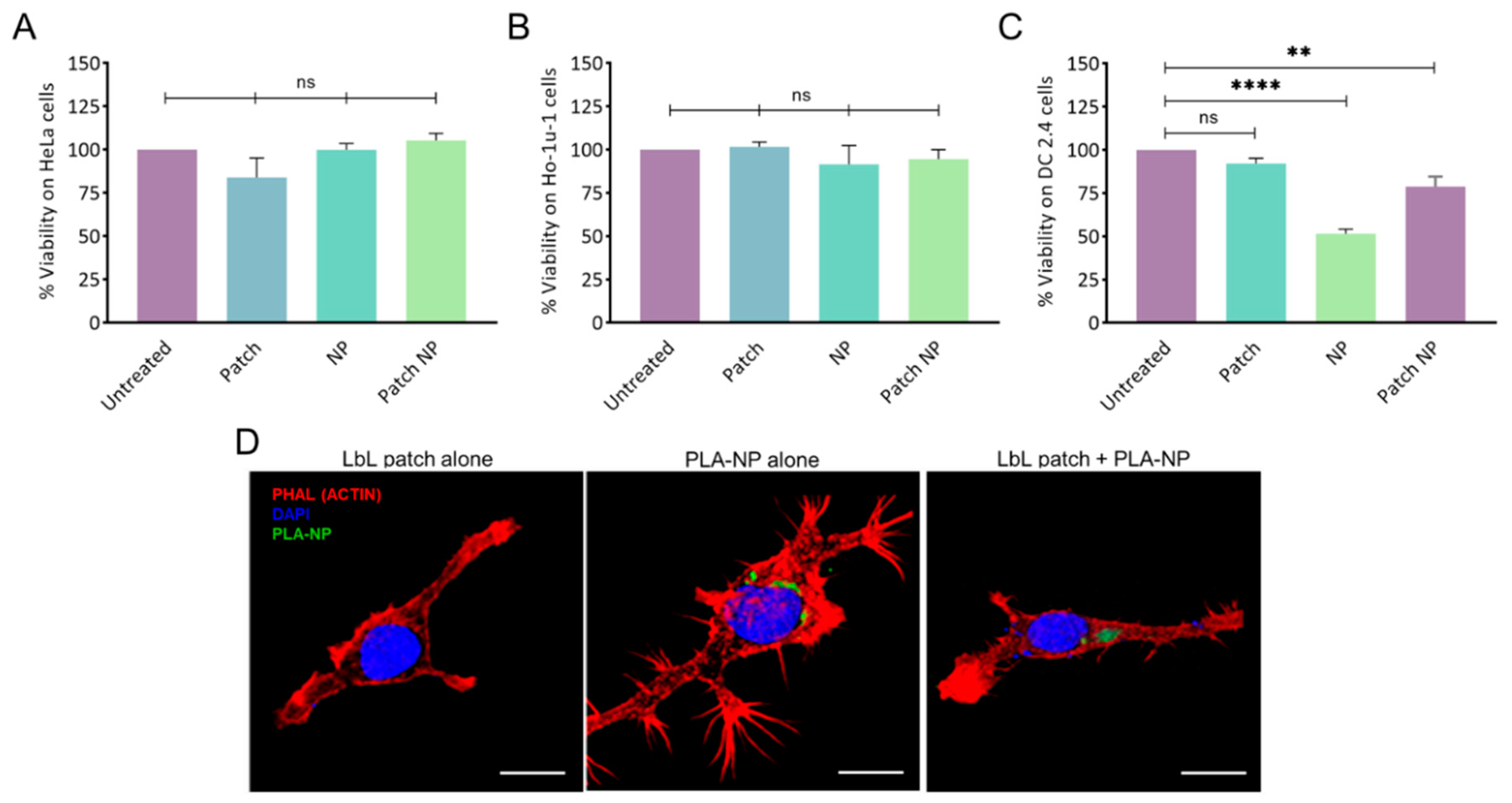 Ijms 23 13440 g002 Ijms 23 13440 g002