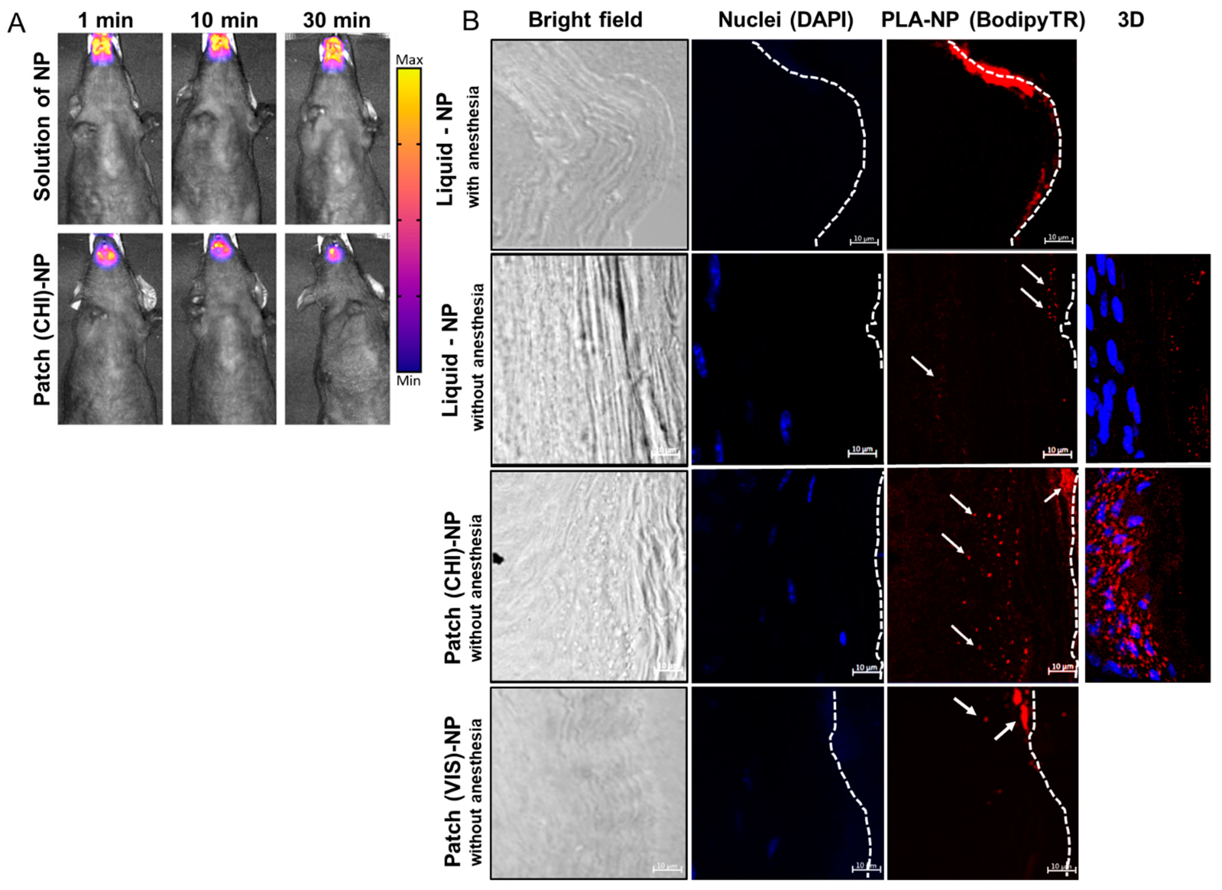 Ijms 23 13440 g003 Ijms 23 13440 g003