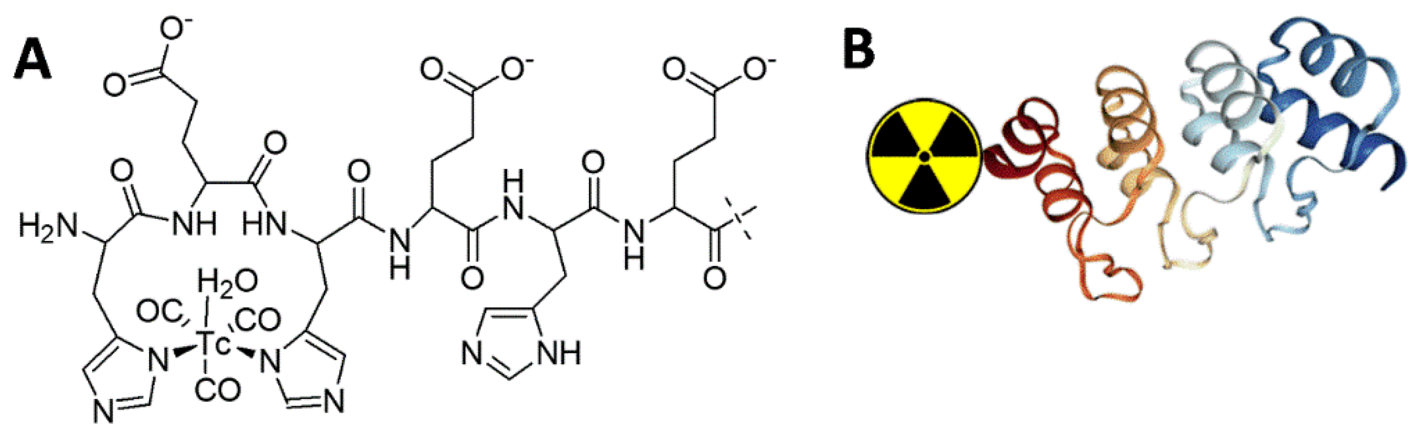 Ijms 23 13443 g001 Ijms 23 13443 g001