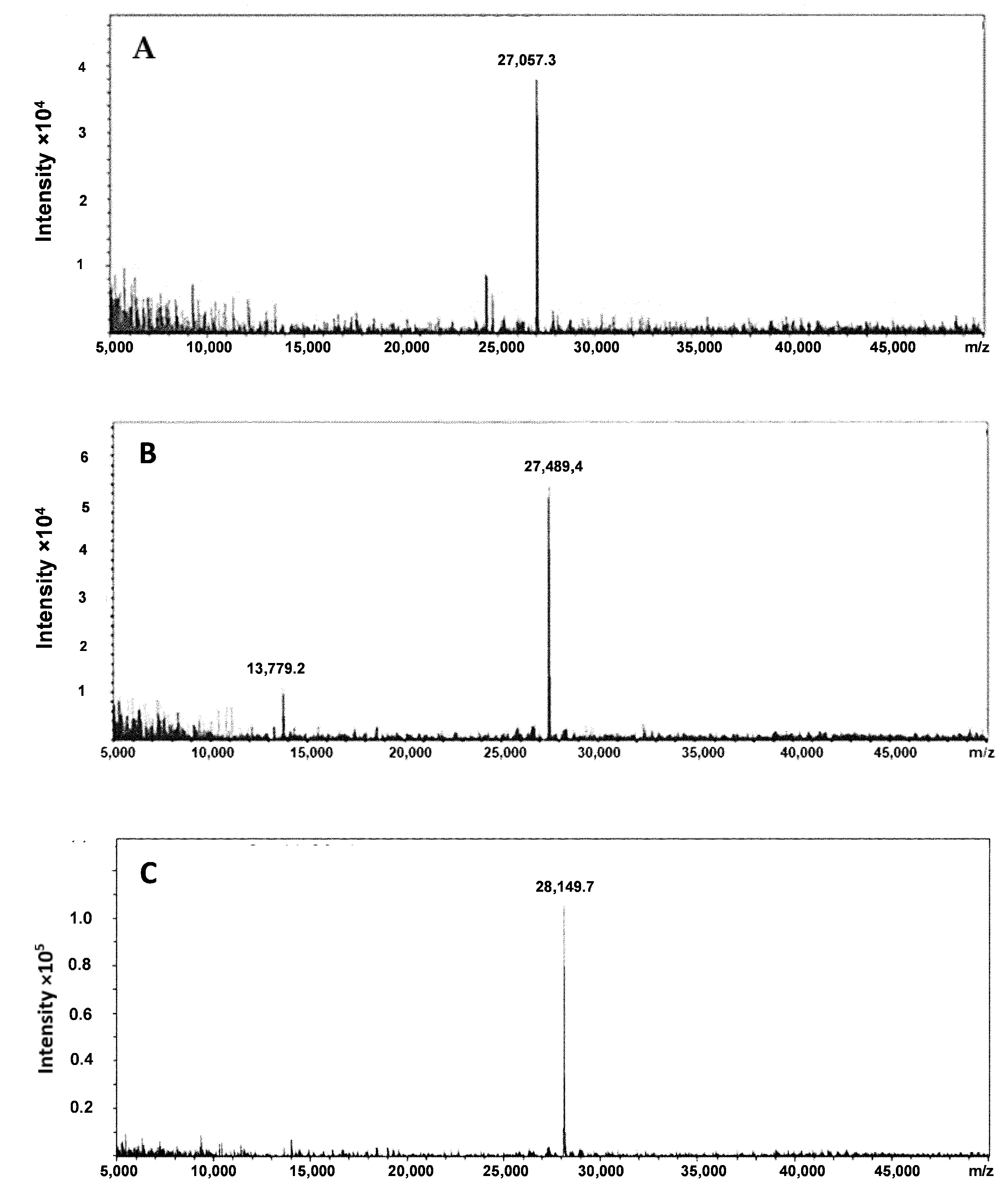 Ijms 23 13443 g003 Ijms 23 13443 g003