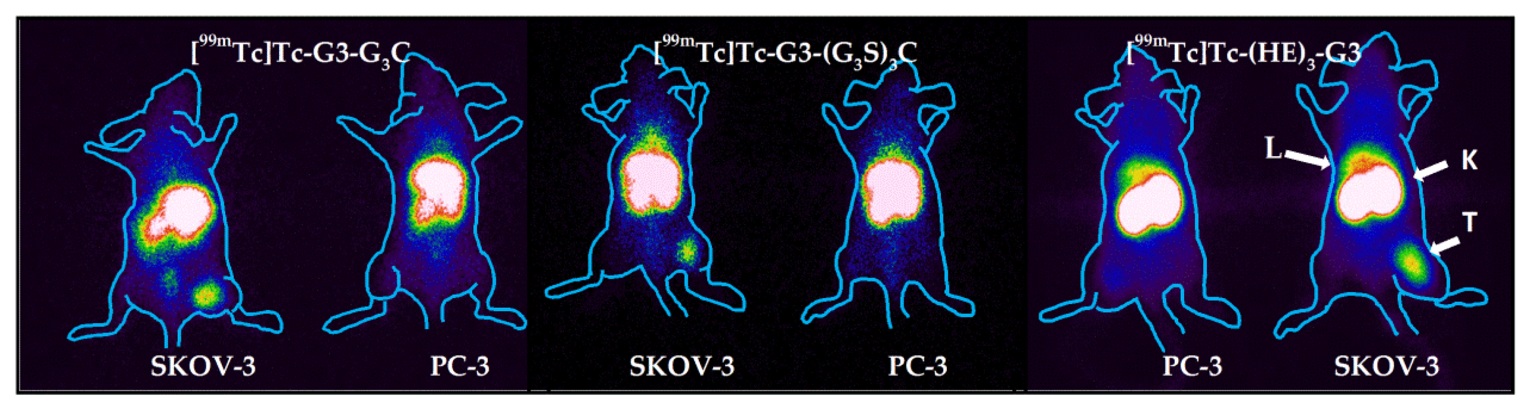 Ijms 23 13443 g011 Ijms 23 13443 g011