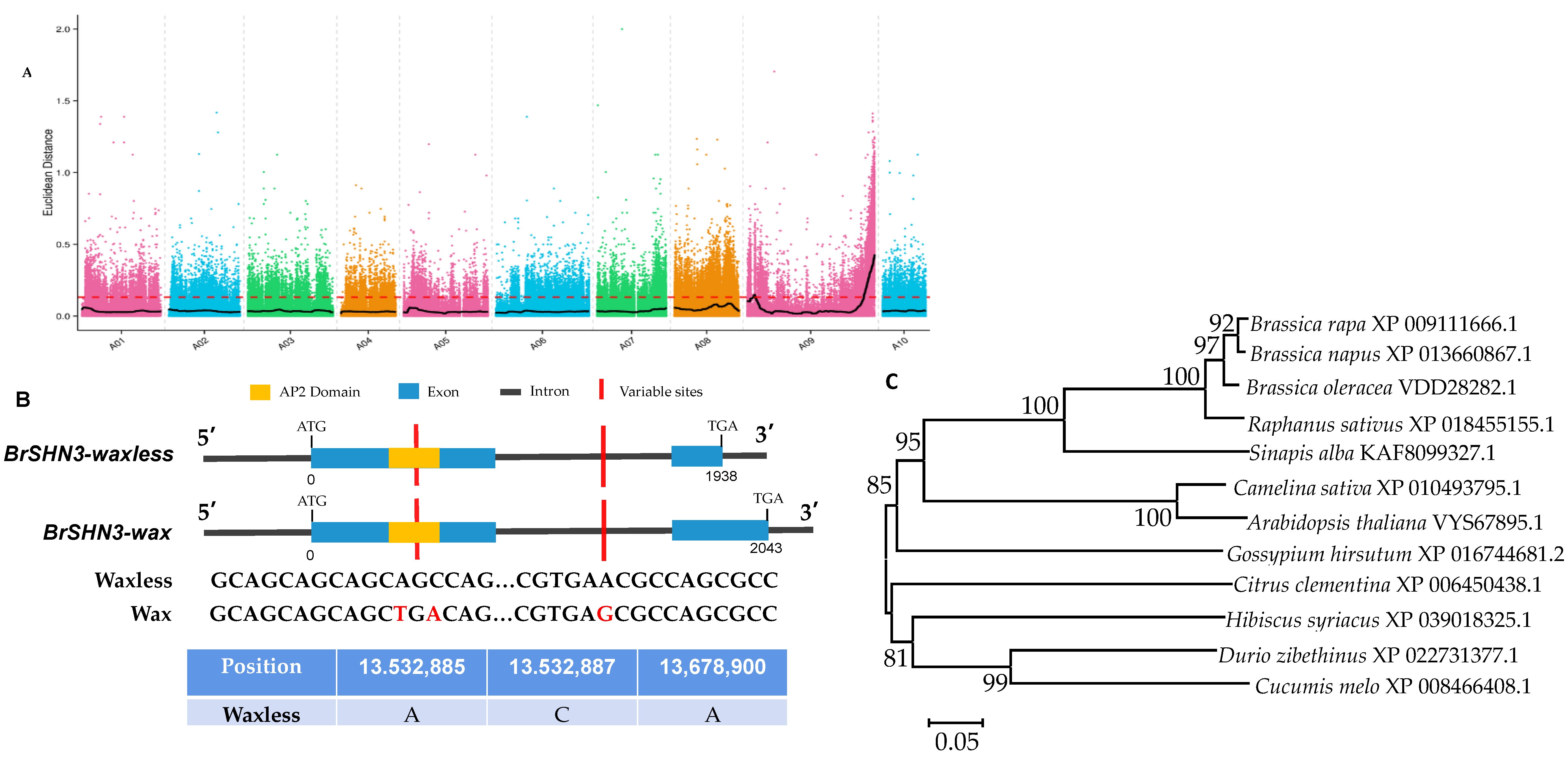 Ijms 23 13454 g003 Ijms 23 13454 g003