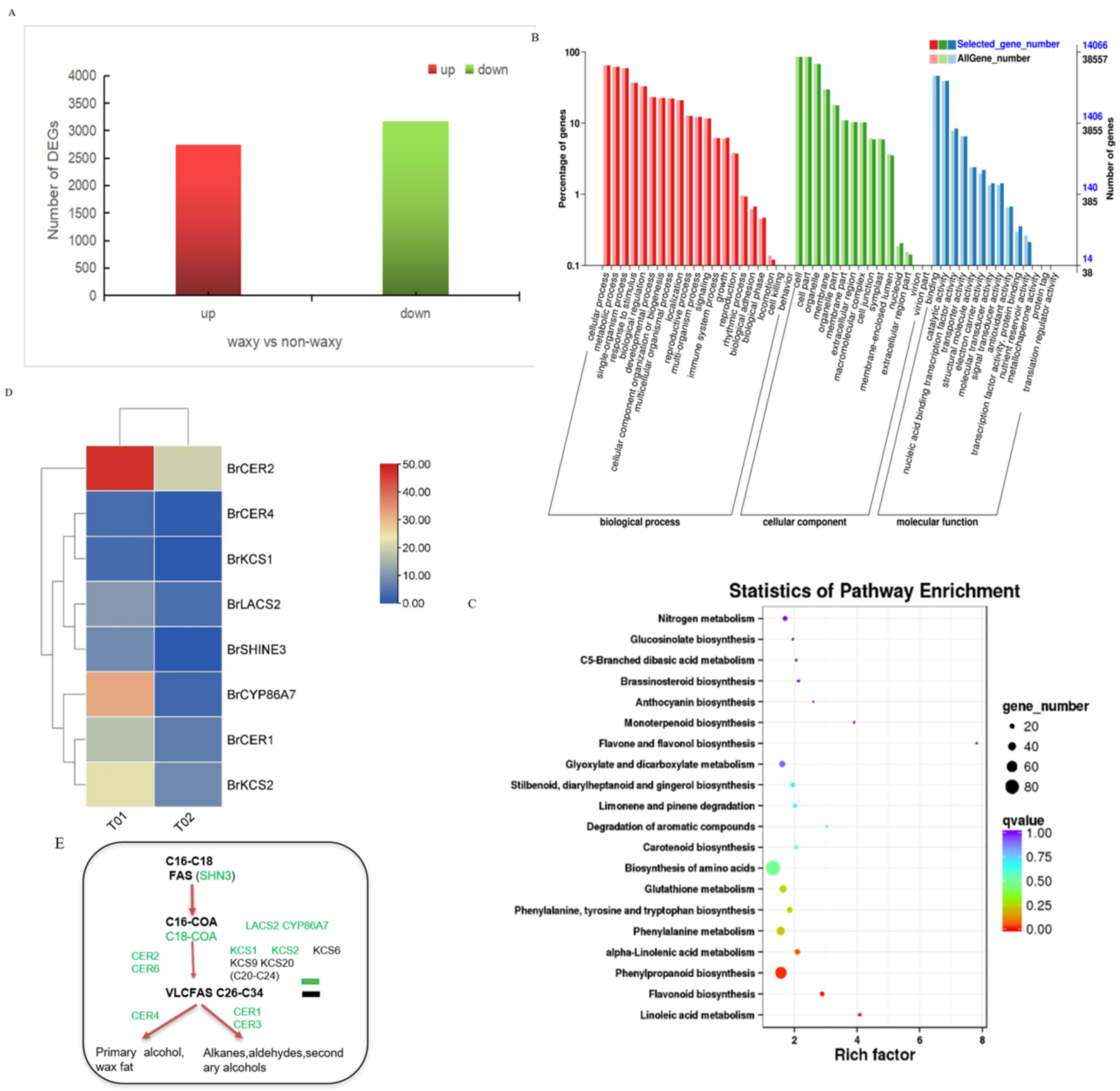 Ijms 23 13454 g006 Ijms 23 13454 g006