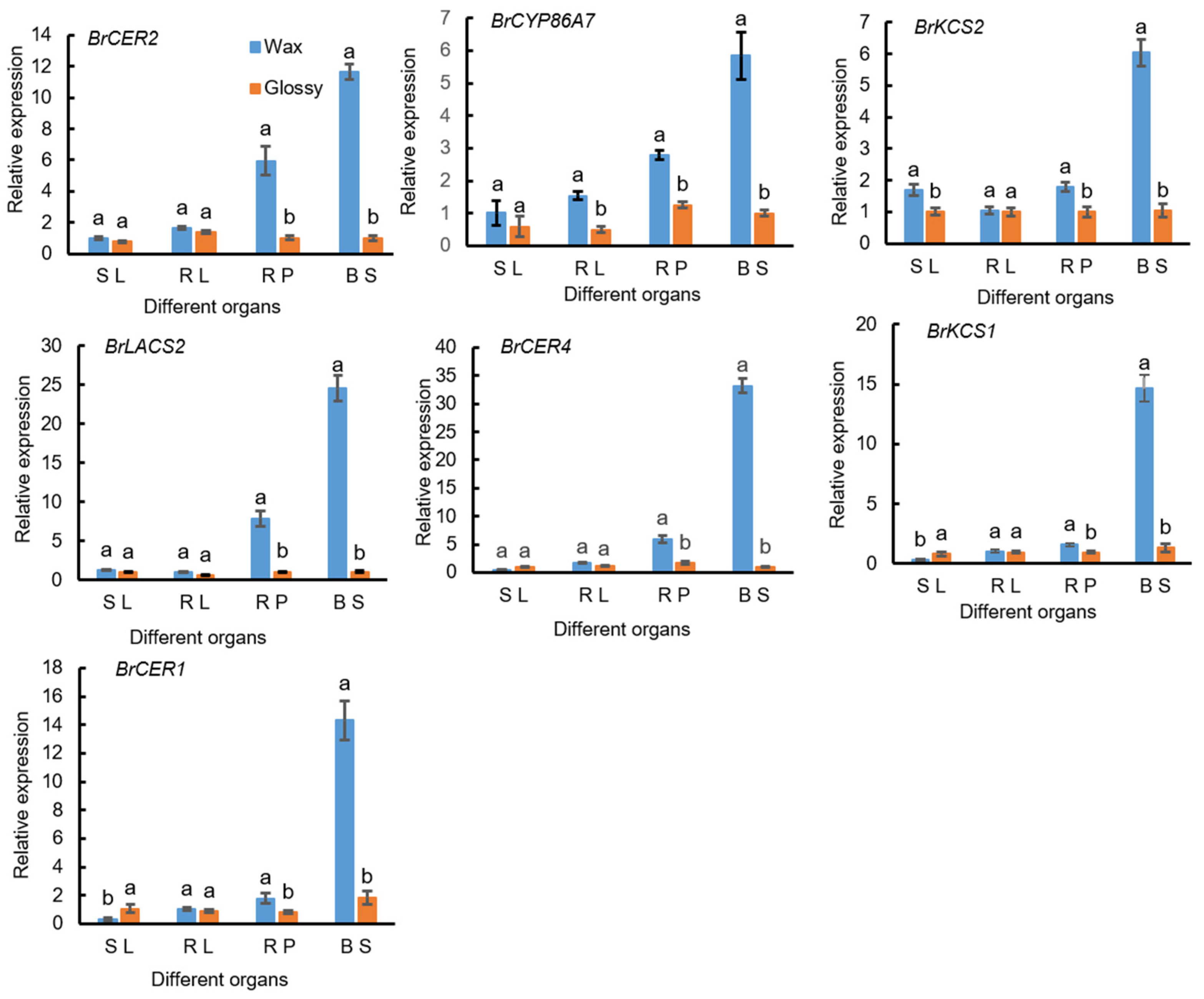 Ijms 23 13454 g007 Ijms 23 13454 g007