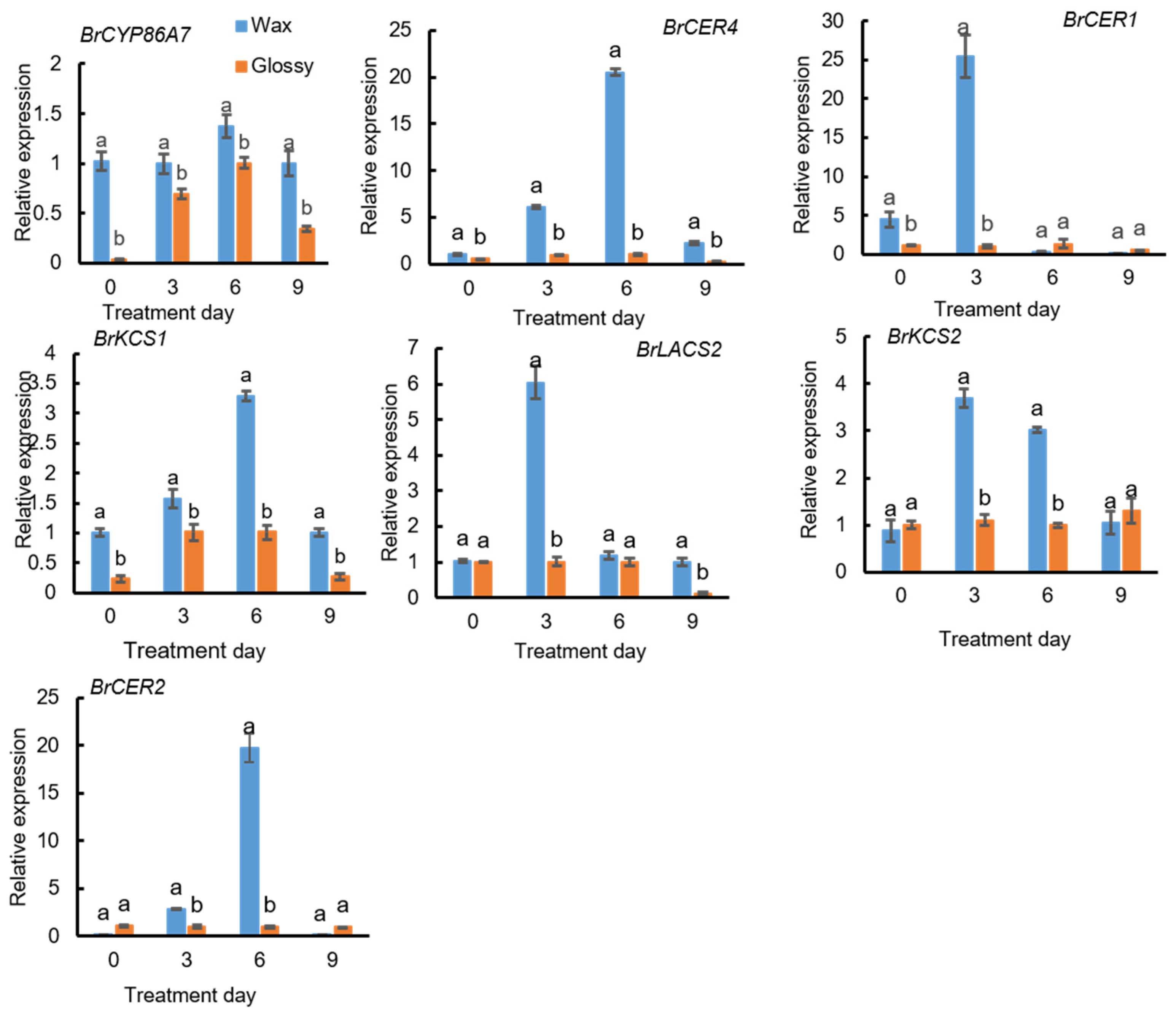 Ijms 23 13454 g008 Ijms 23 13454 g008
