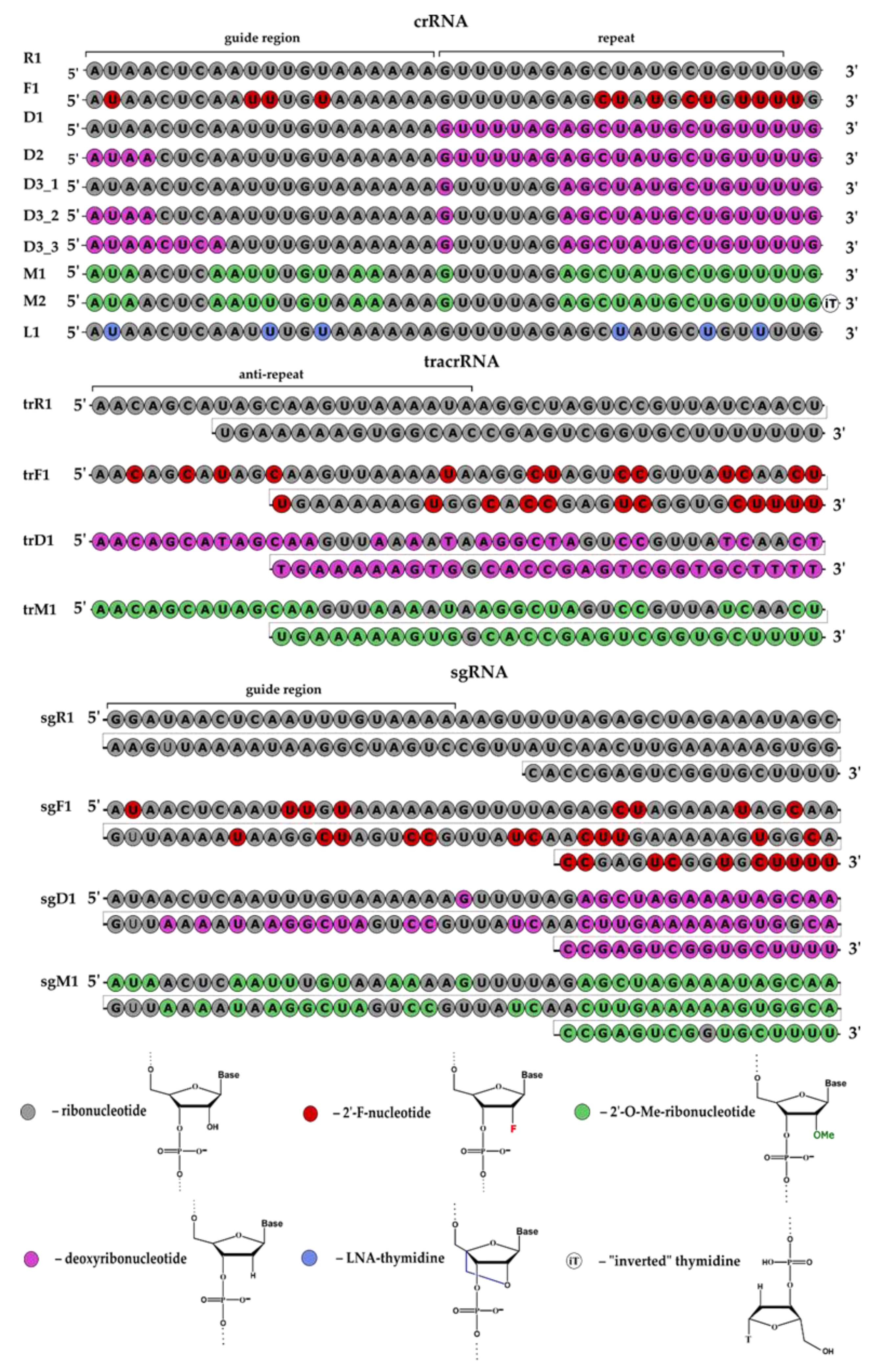 Ijms 23 13460 g002 Ijms 23 13460 g002