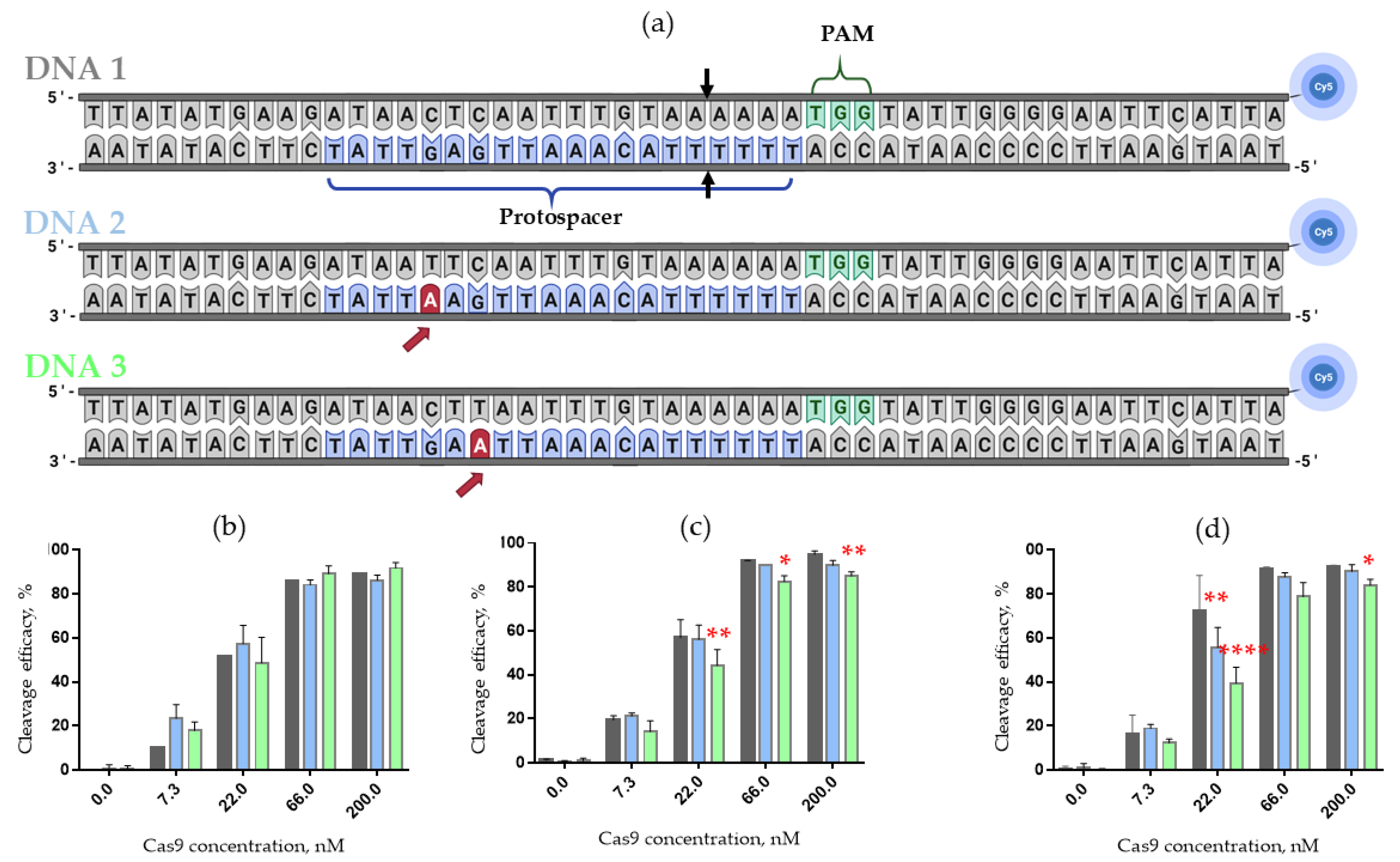 Ijms 23 13460 g006 Ijms 23 13460 g006