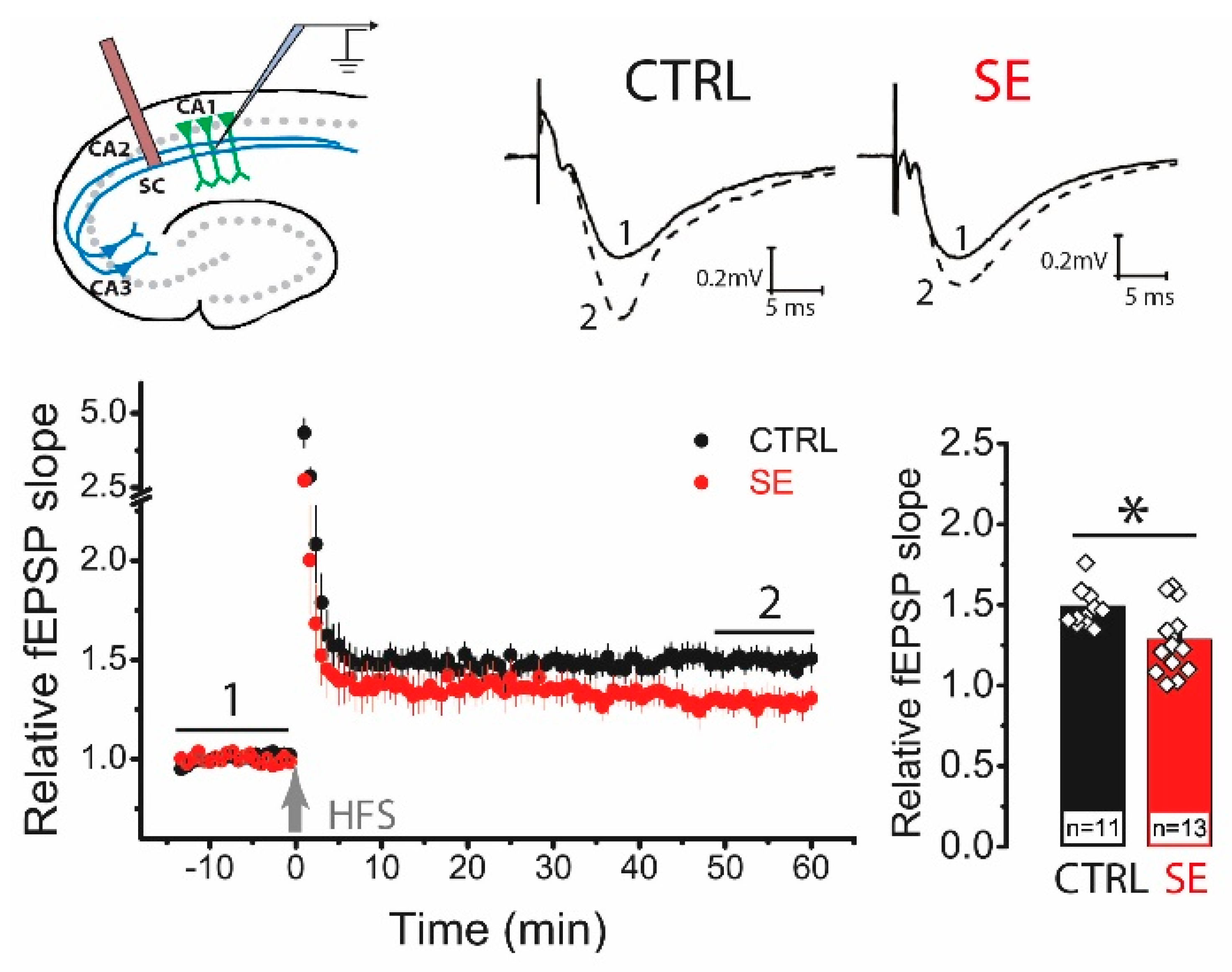Ijms 23 13461 g002 Ijms 23 13461 g002