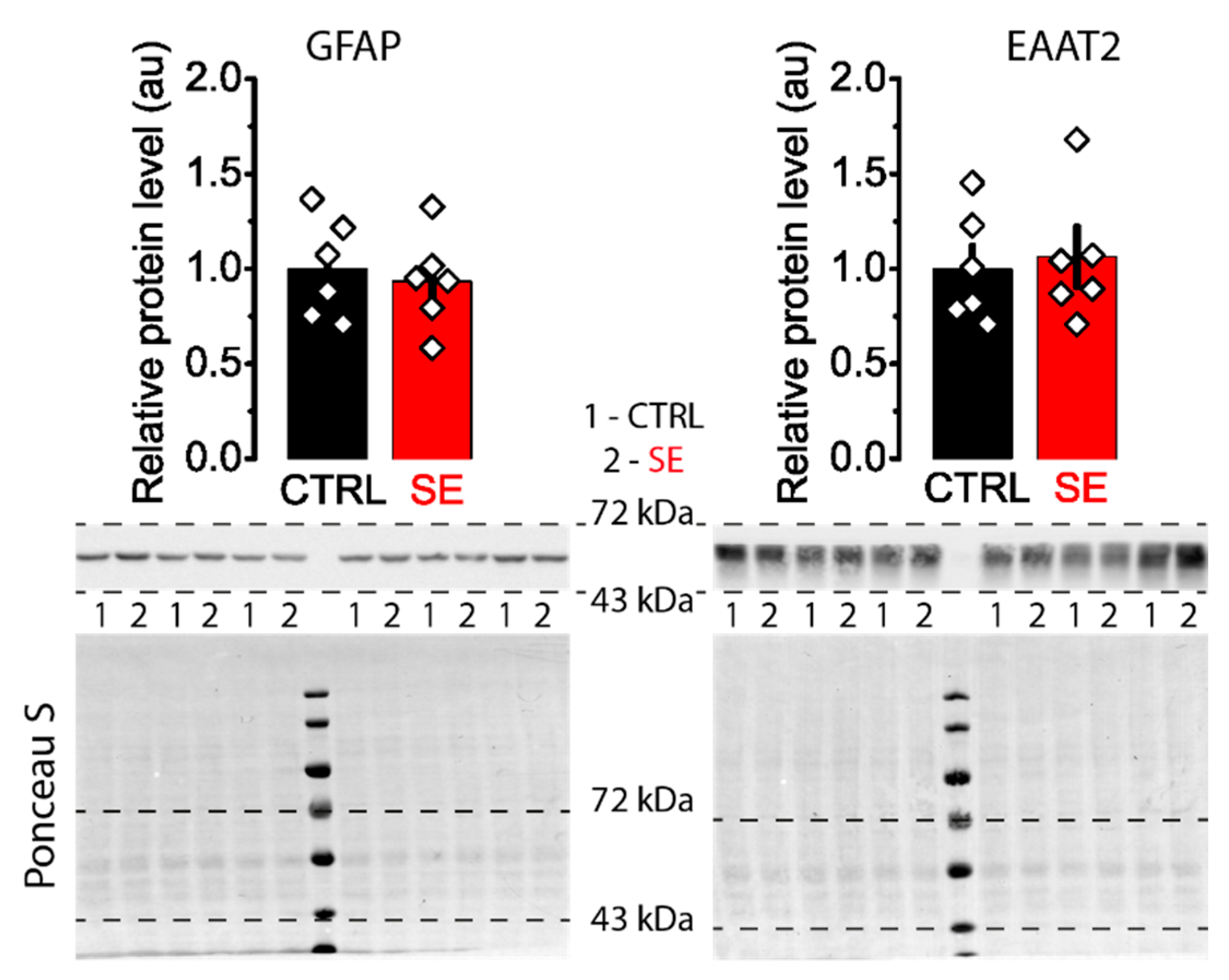 Ijms 23 13461 g007 Ijms 23 13461 g007