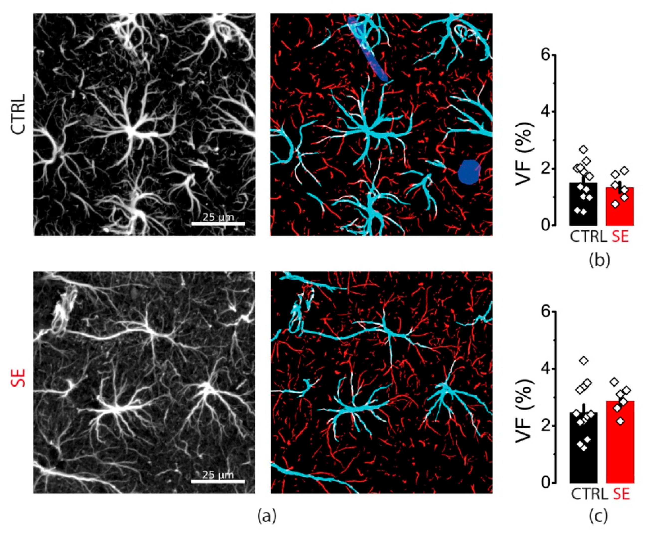 Ijms 23 13461 g008 Ijms 23 13461 g008