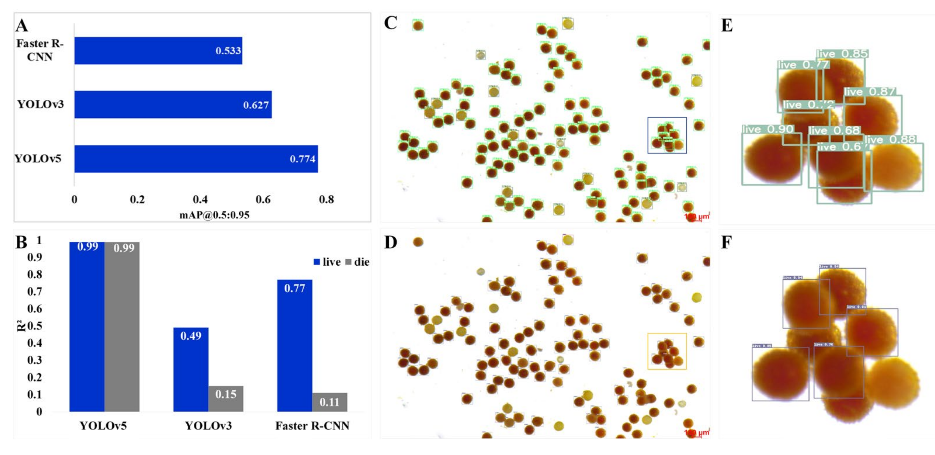 Ijms 23 13469 g002 Ijms 23 13469 g002
