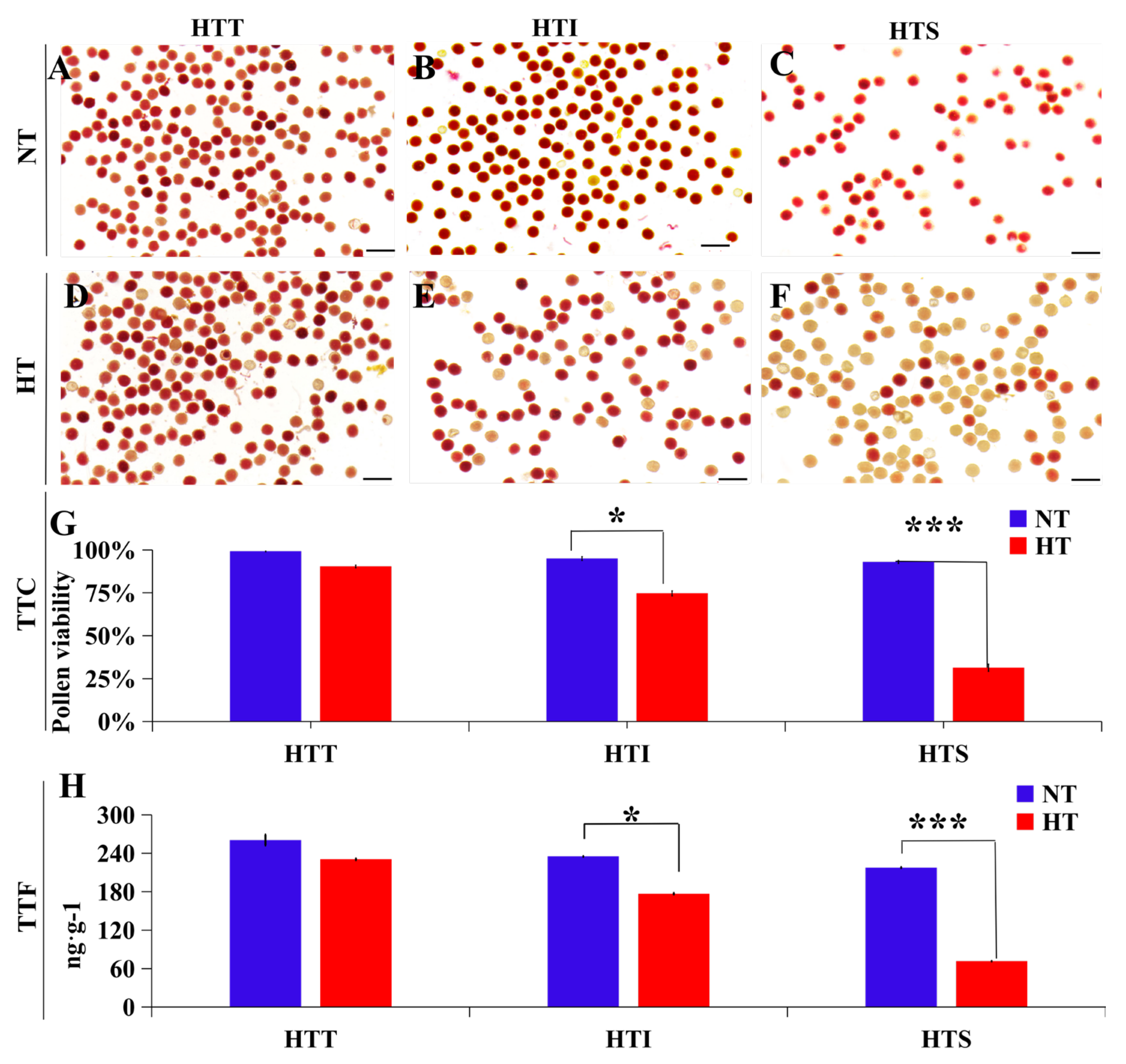 Ijms 23 13469 g004 Ijms 23 13469 g004