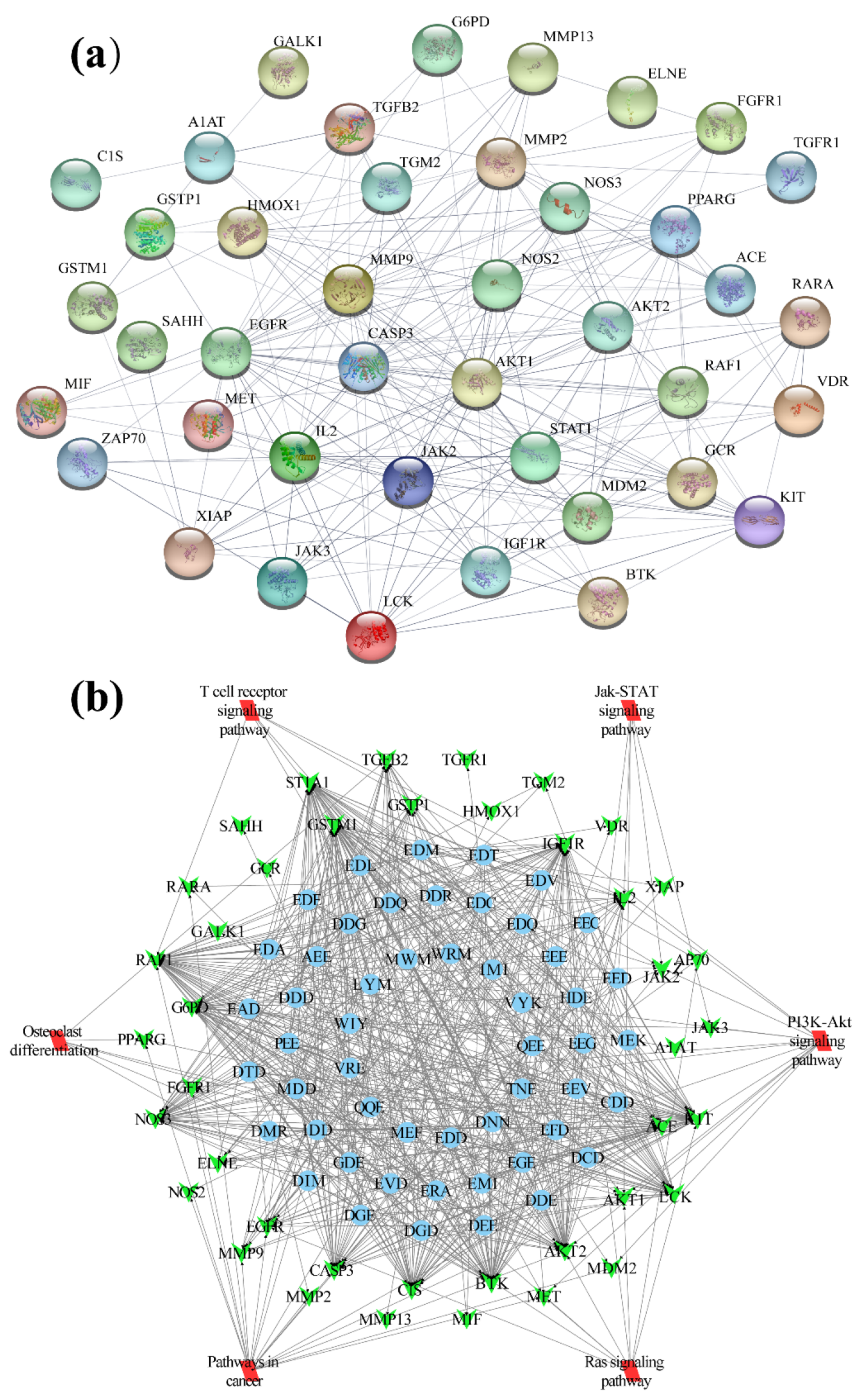 Ijms 23 13471 g001 Ijms 23 13471 g001