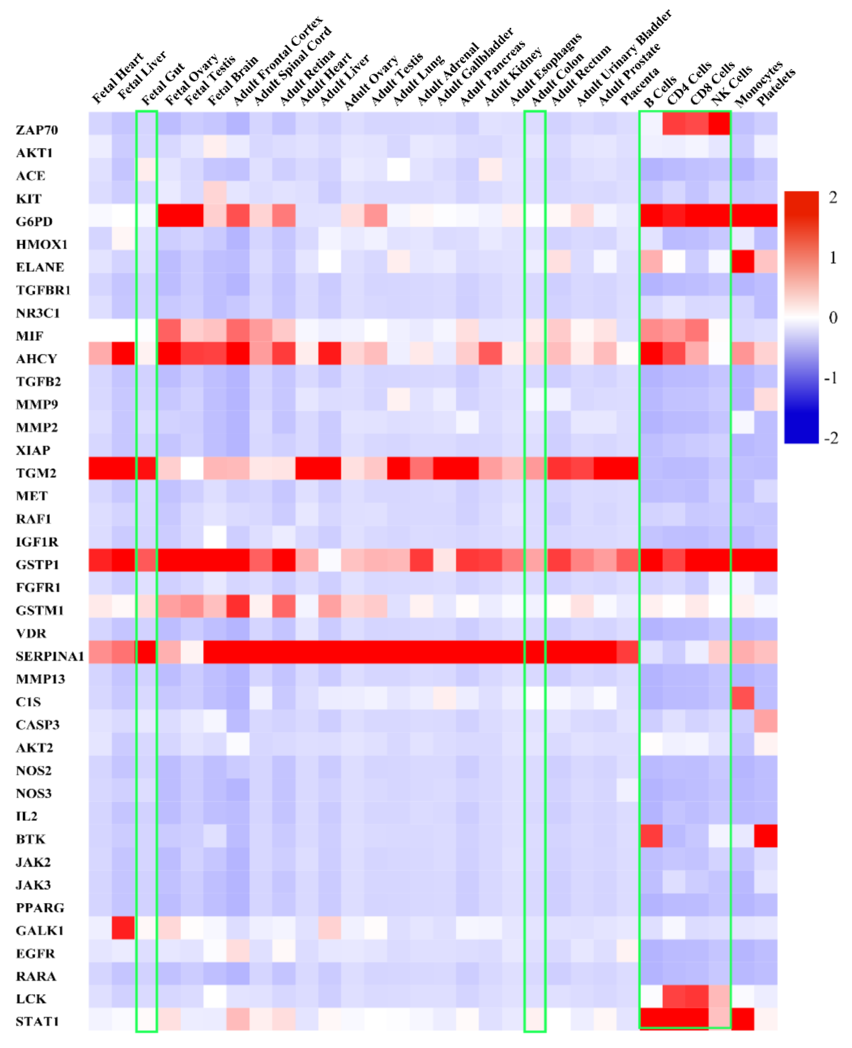 Ijms 23 13471 g004 Ijms 23 13471 g004