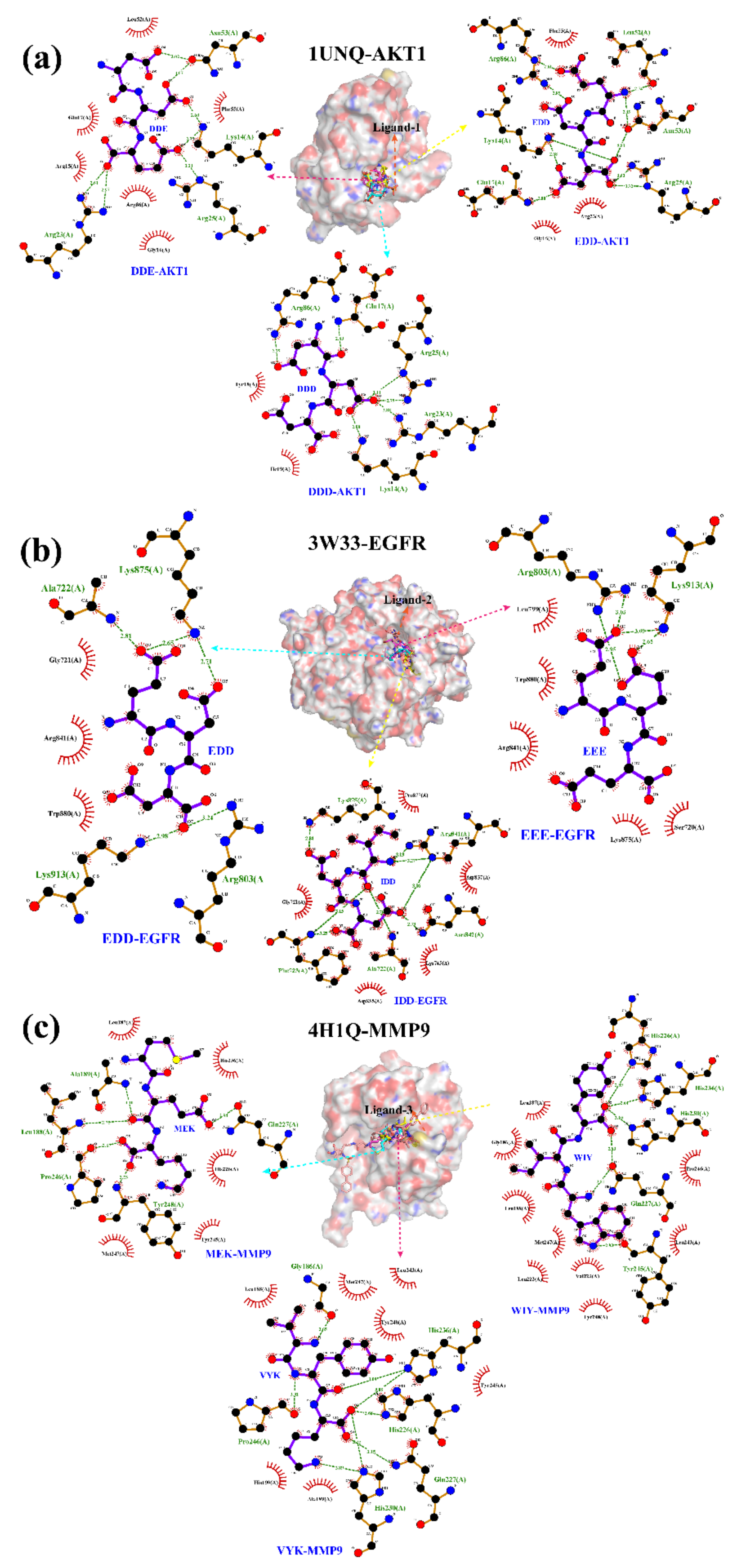 Ijms 23 13471 g005 Ijms 23 13471 g005