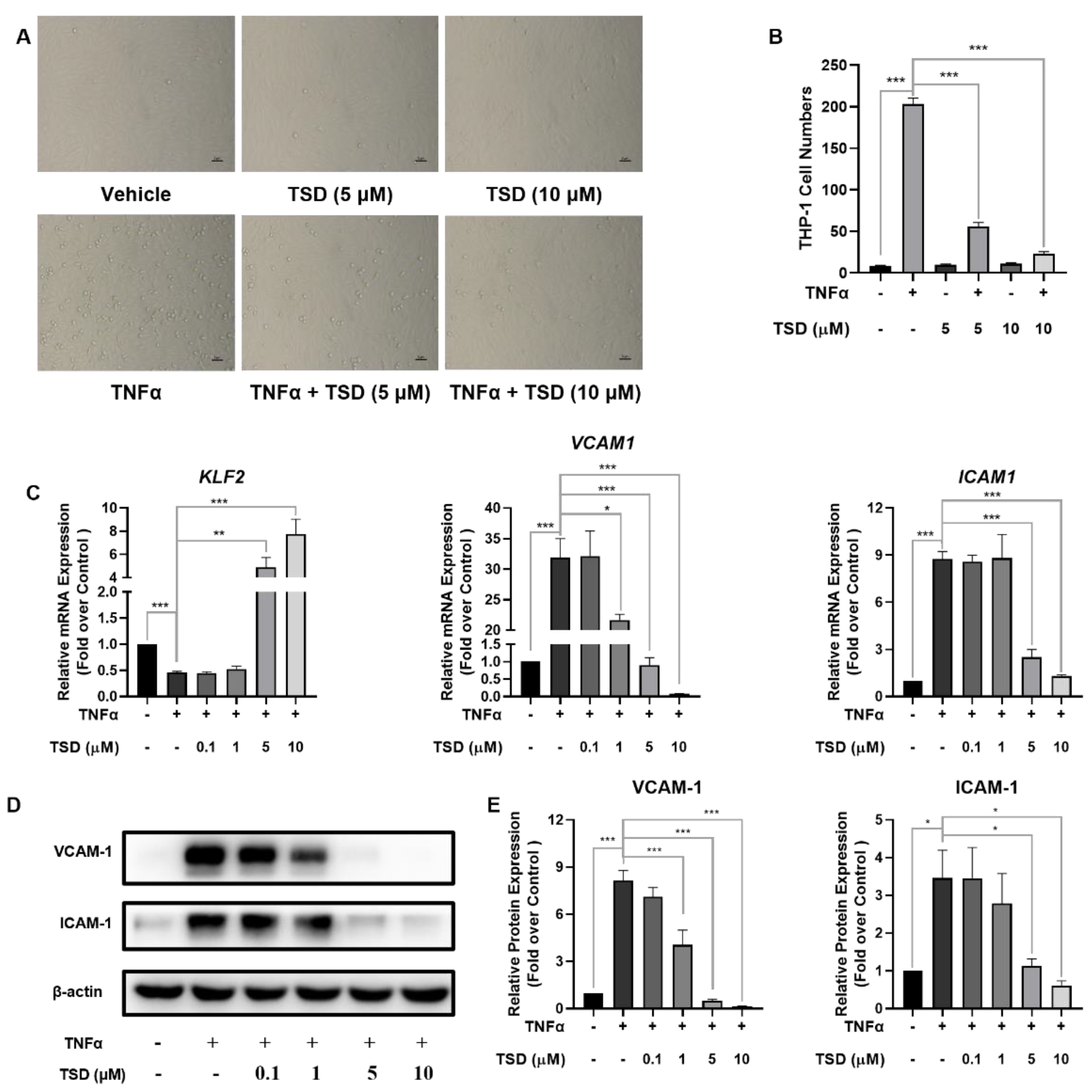 Ijms 23 13477 g002 Ijms 23 13477 g002