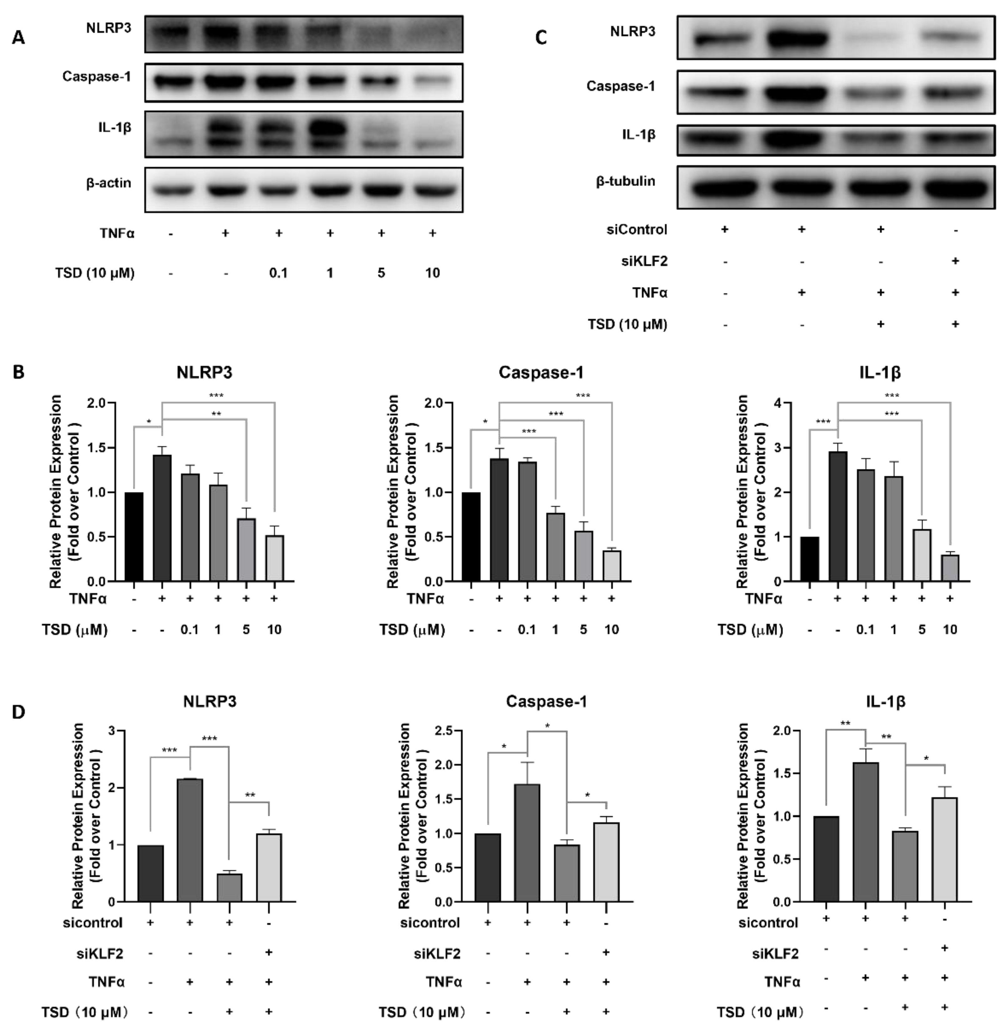 Ijms 23 13477 g004 Ijms 23 13477 g004