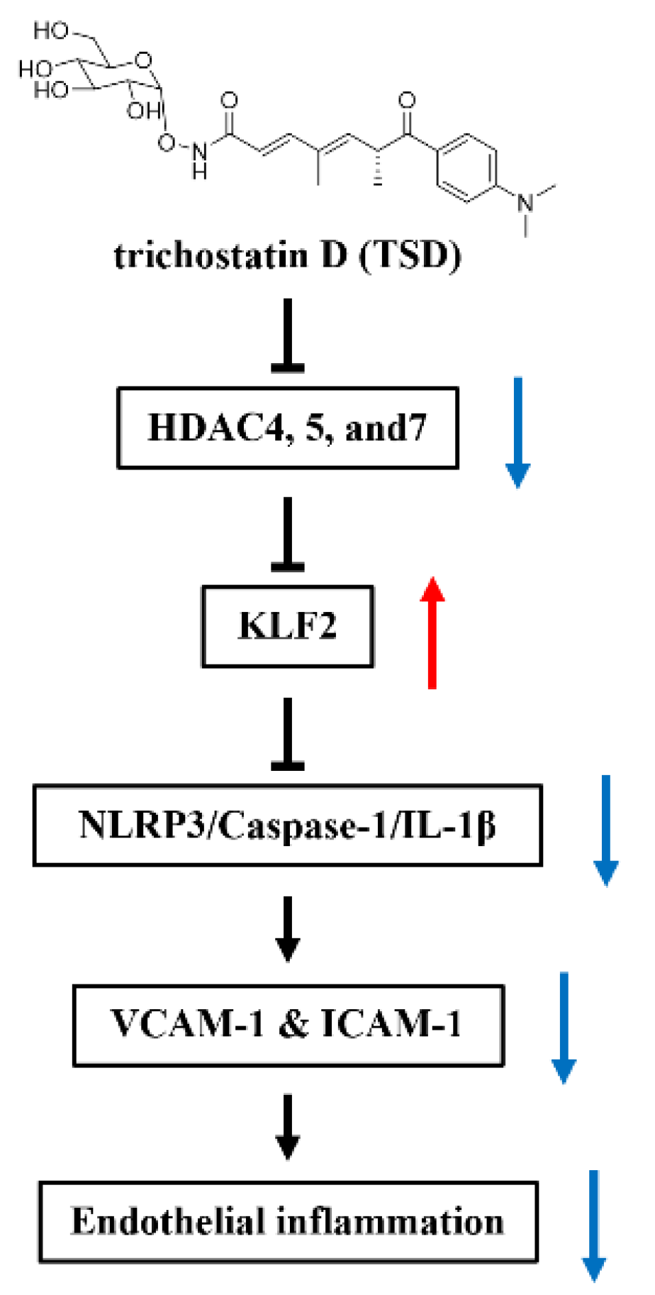 Ijms 23 13477 g007 Ijms 23 13477 g007