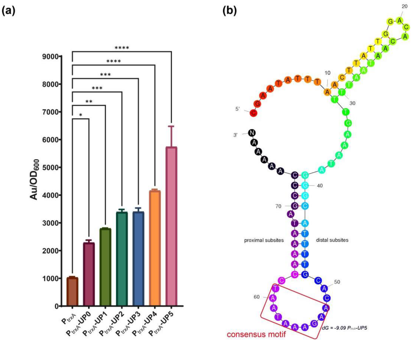 Ijms 23 13480 g005 Ijms 23 13480 g005