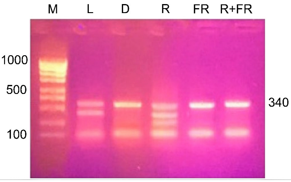 Ijms 23 13495 g007 Ijms 23 13495 g007