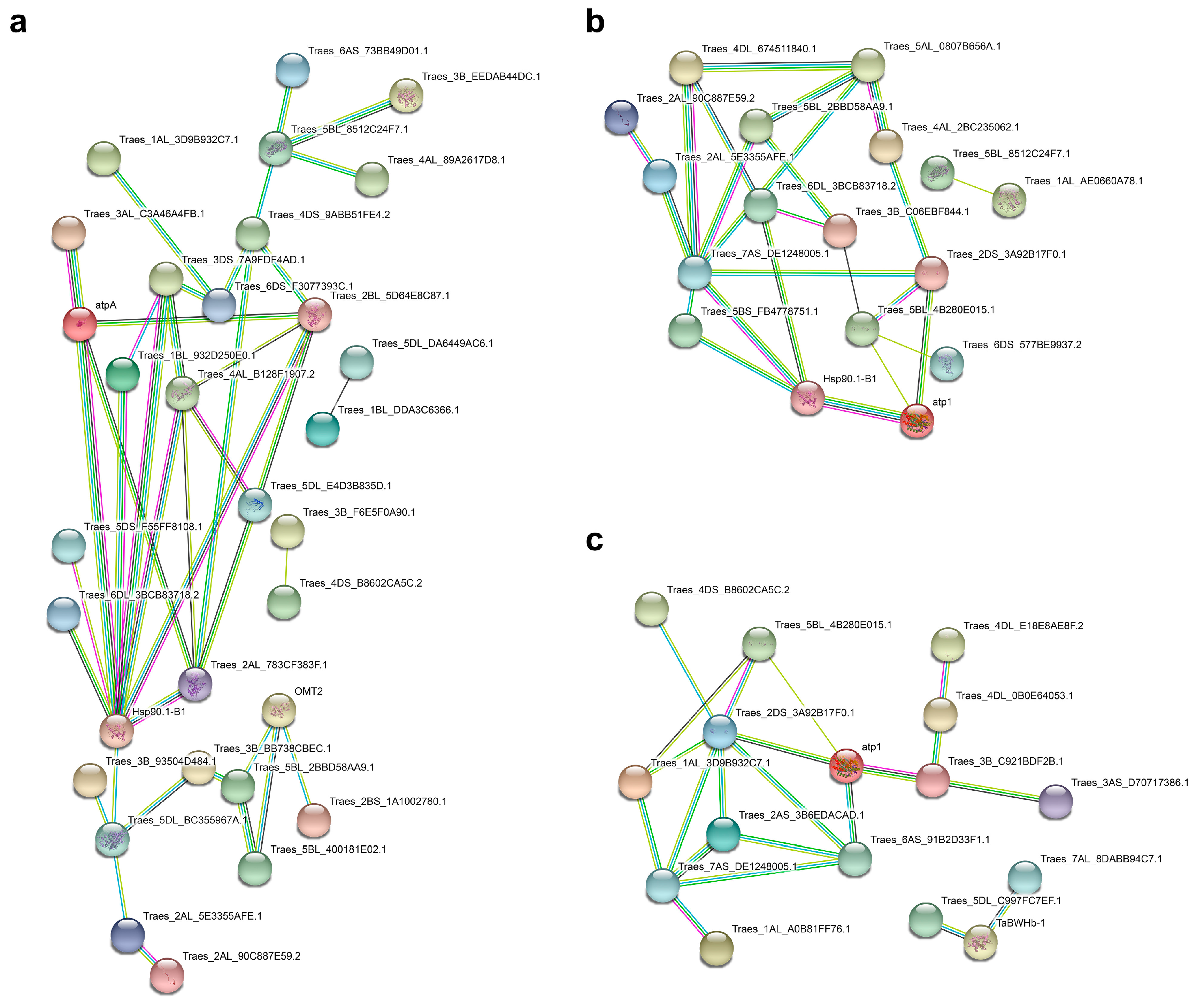 Ijms 23 13504 g004 Ijms 23 13504 g004