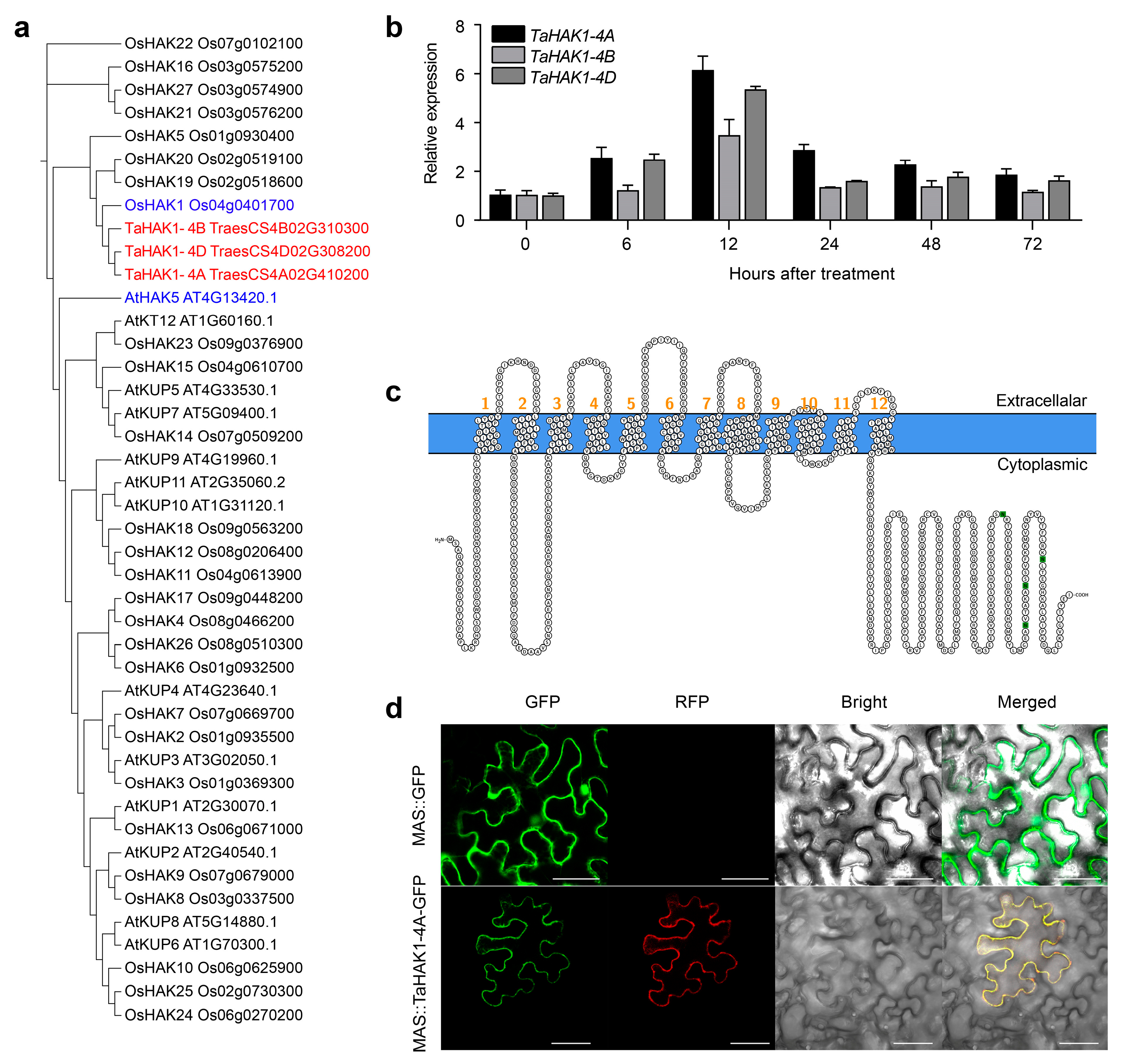 Ijms 23 13504 g005 Ijms 23 13504 g005