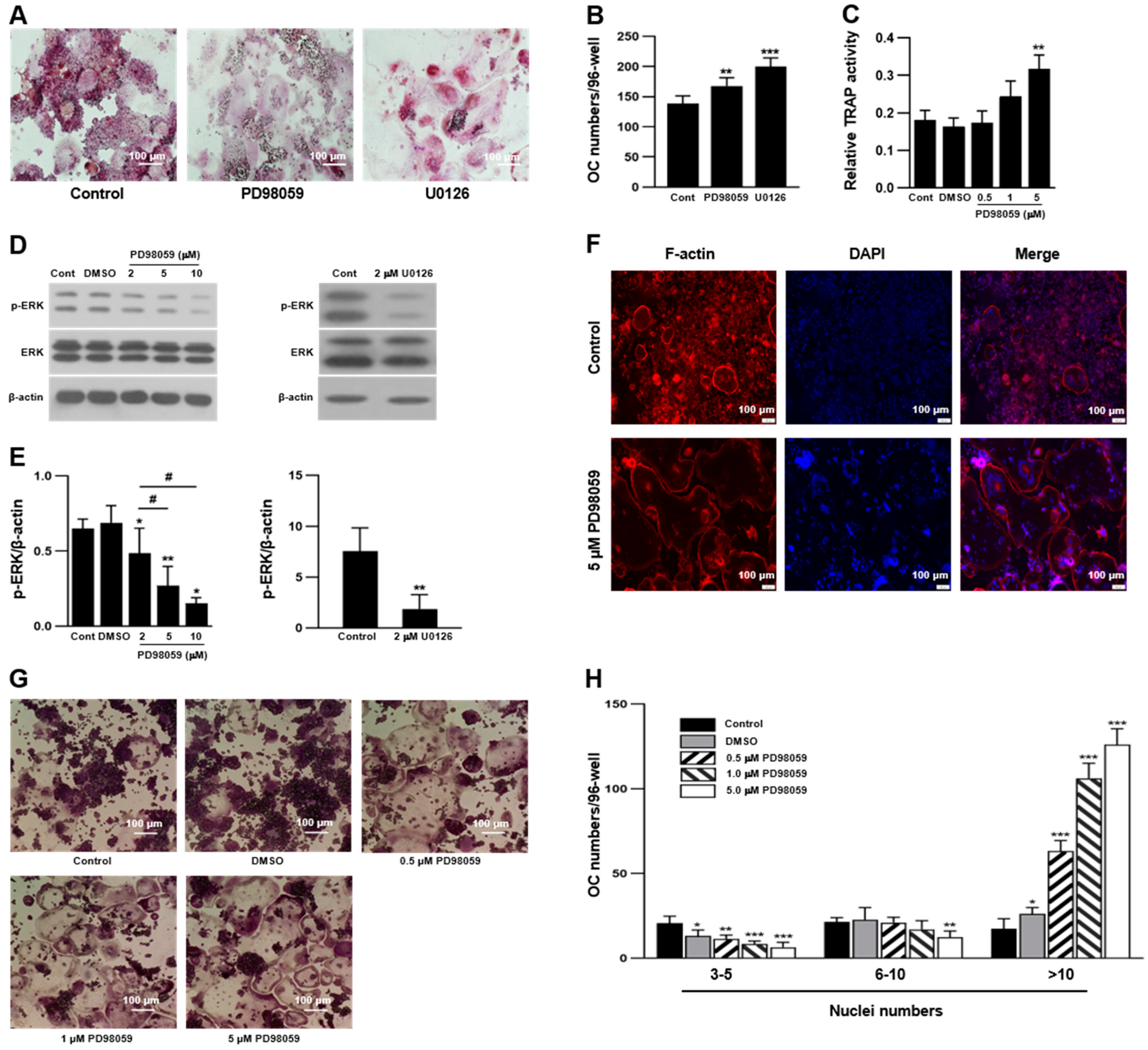 Ijms 23 13512 g001 Ijms 23 13512 g001