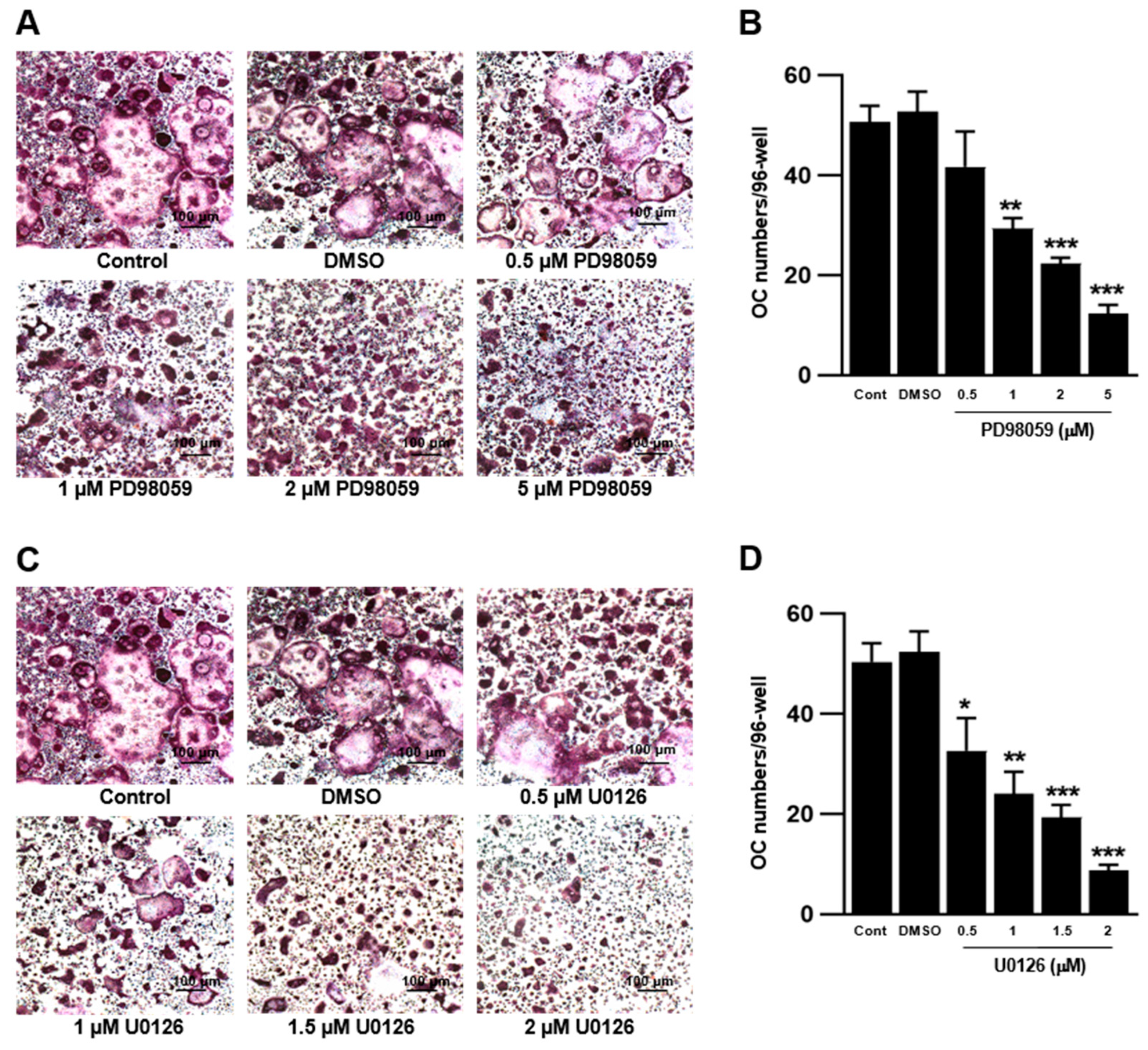 Ijms 23 13512 g002 Ijms 23 13512 g002