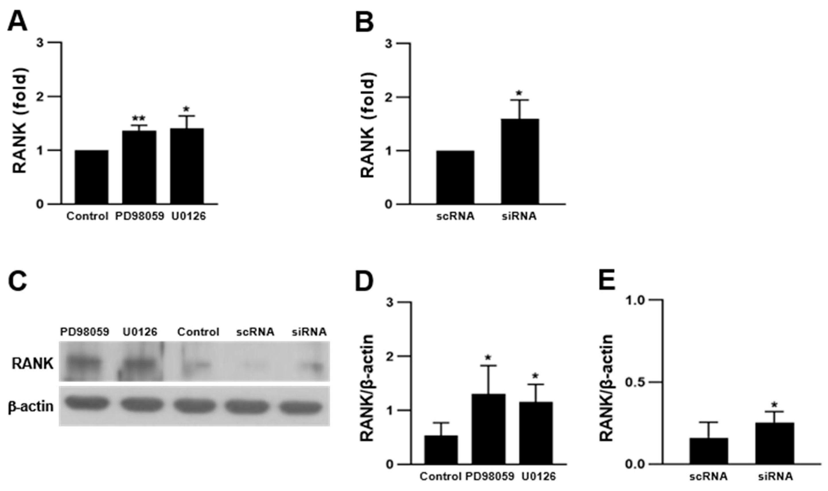 Ijms 23 13512 g004 Ijms 23 13512 g004