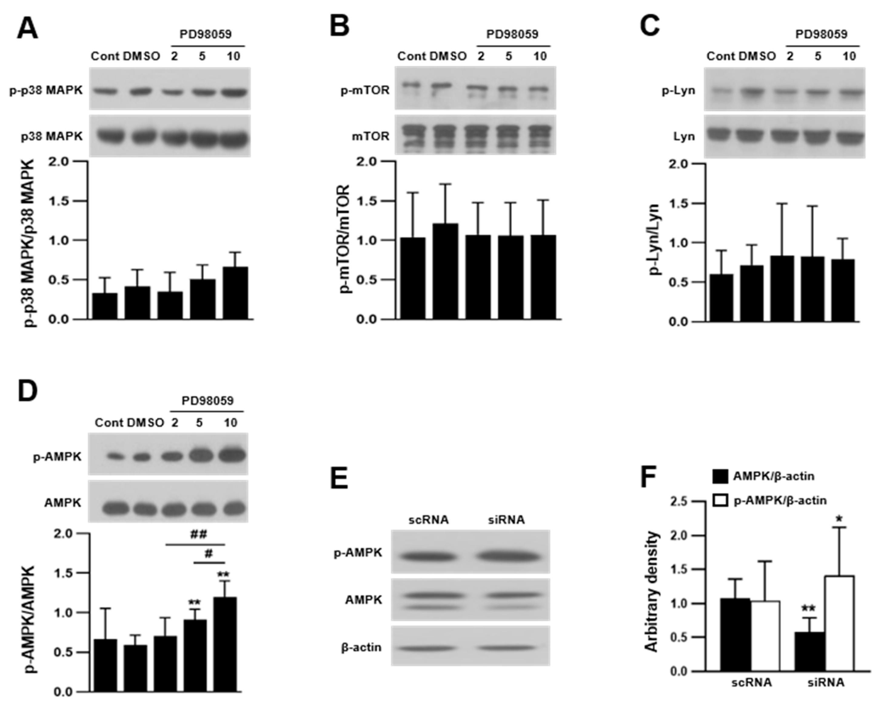 Ijms 23 13512 g005 Ijms 23 13512 g005