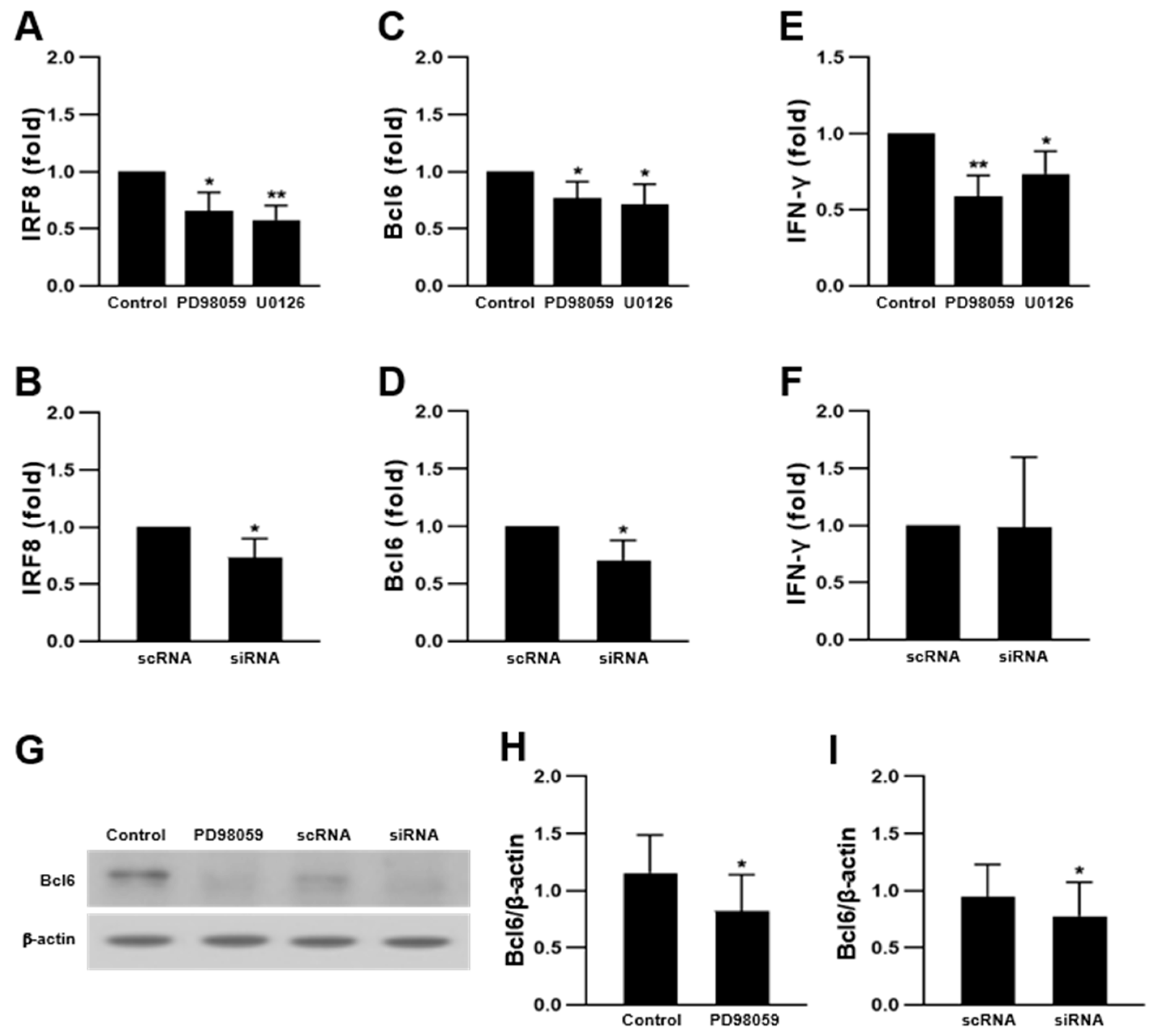 Ijms 23 13512 g006 Ijms 23 13512 g006