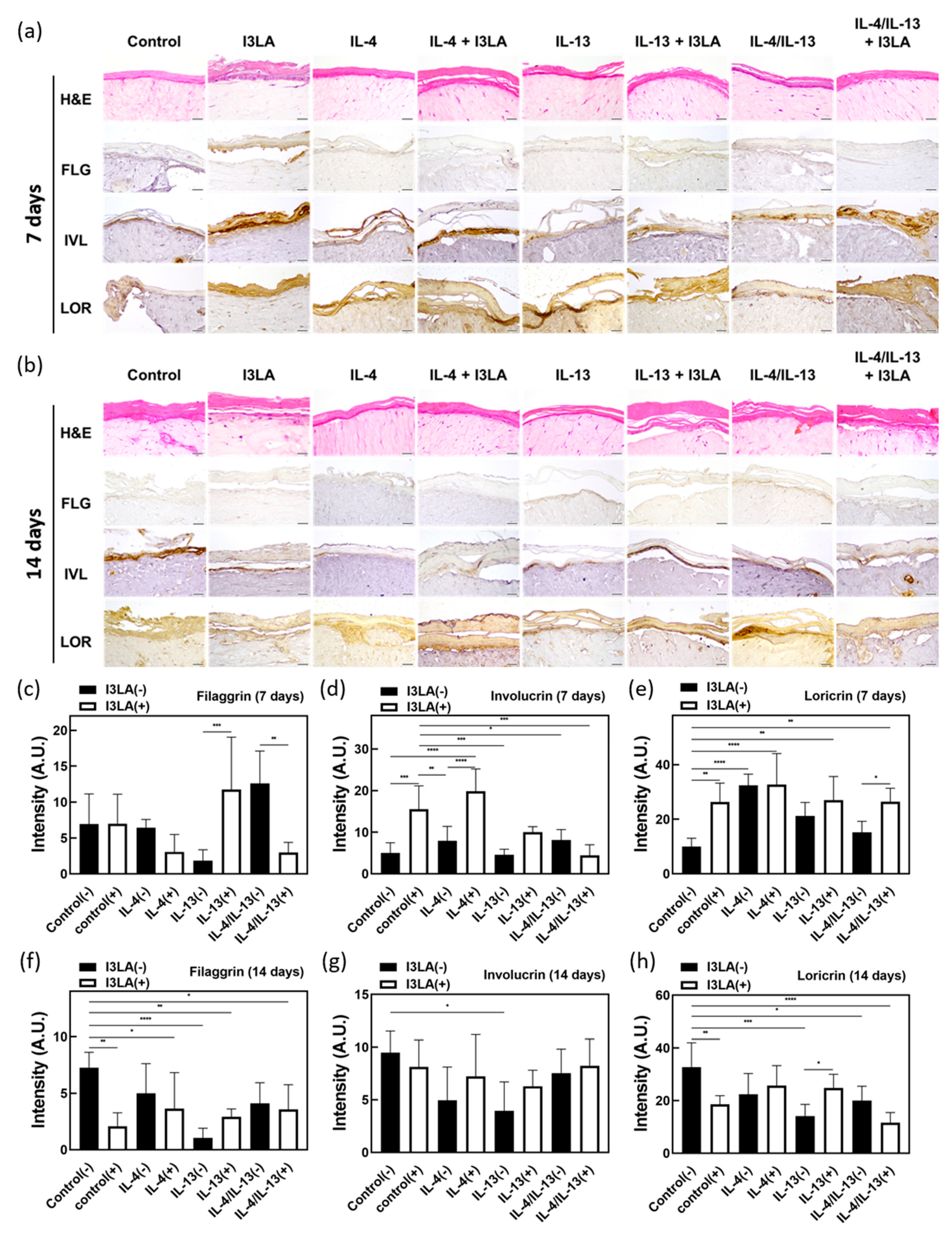 Ijms 23 13520 g004 Ijms 23 13520 g004