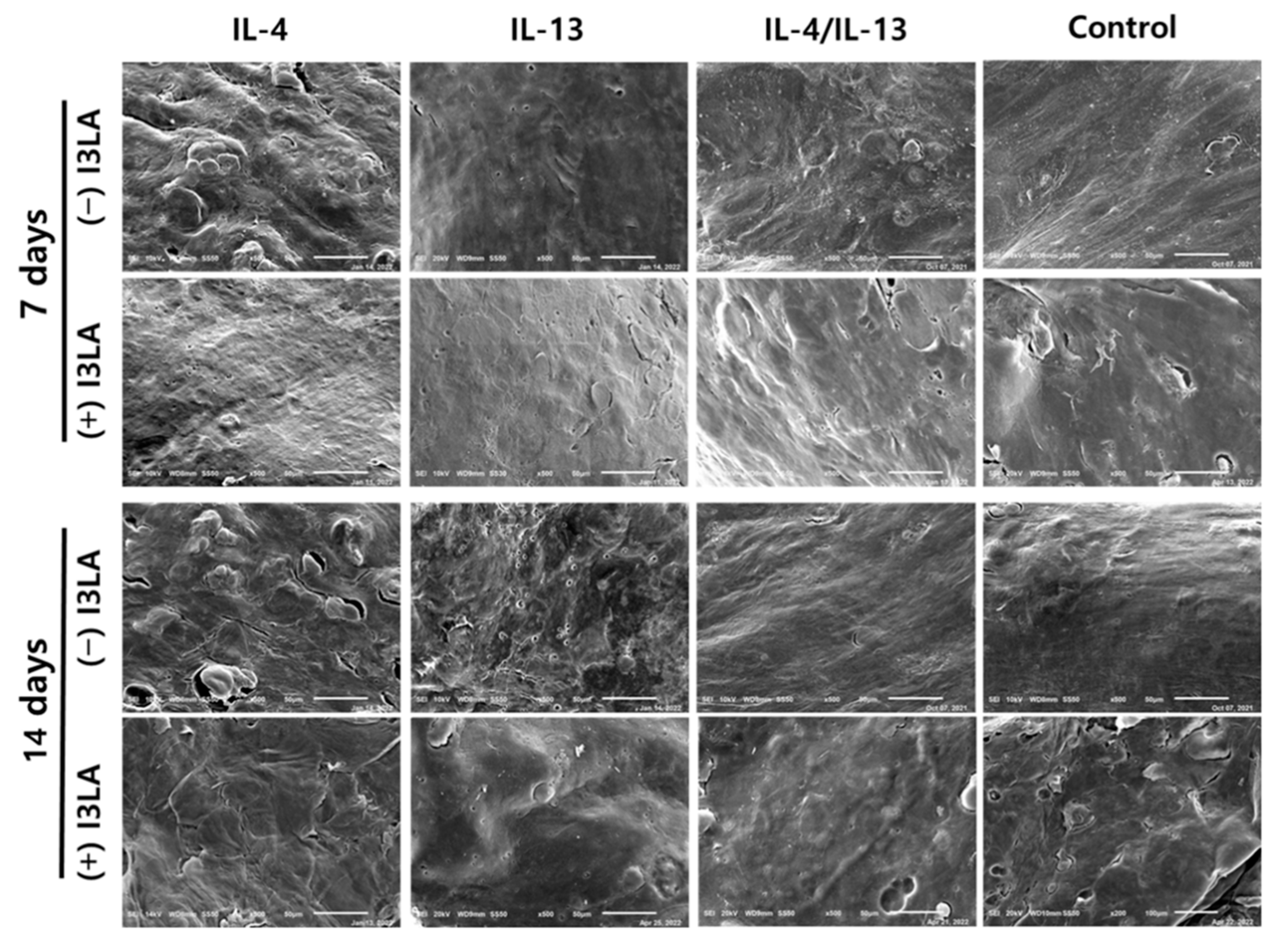 Ijms 23 13520 g005 Ijms 23 13520 g005