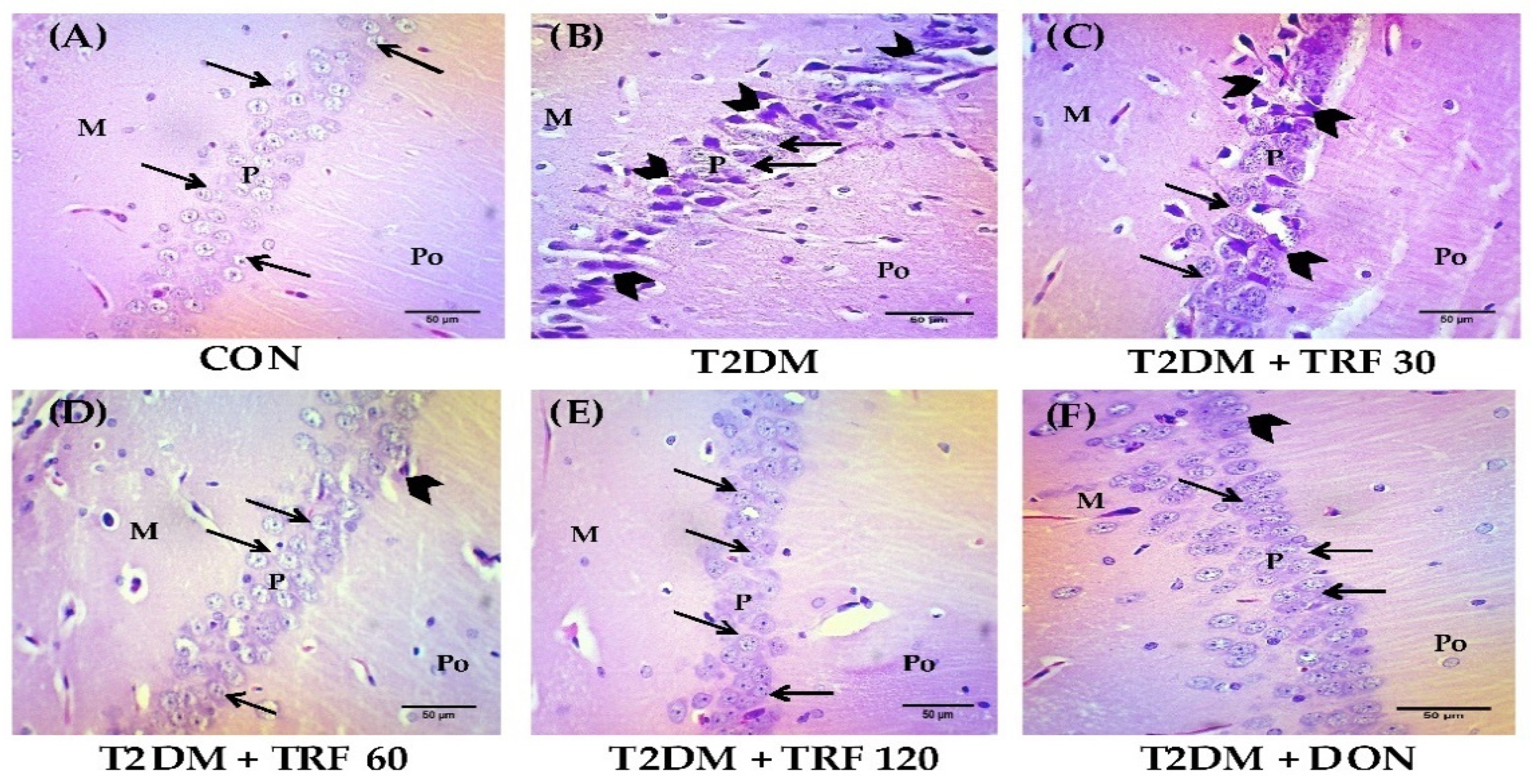 Ijms 23 13531 g003 Ijms 23 13531 g003